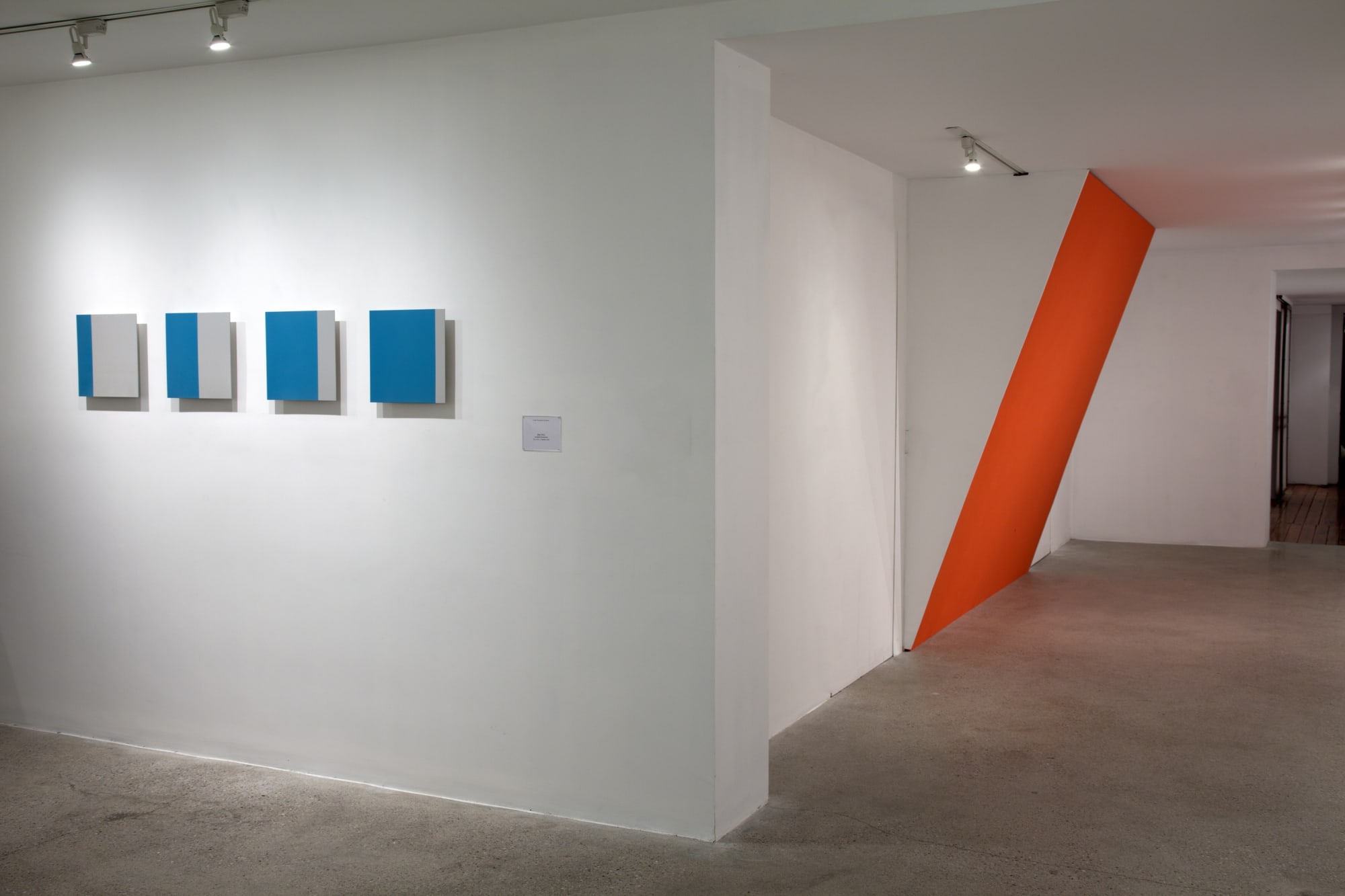 Lynne Harlow Installation View, Cade Tompkins Projects