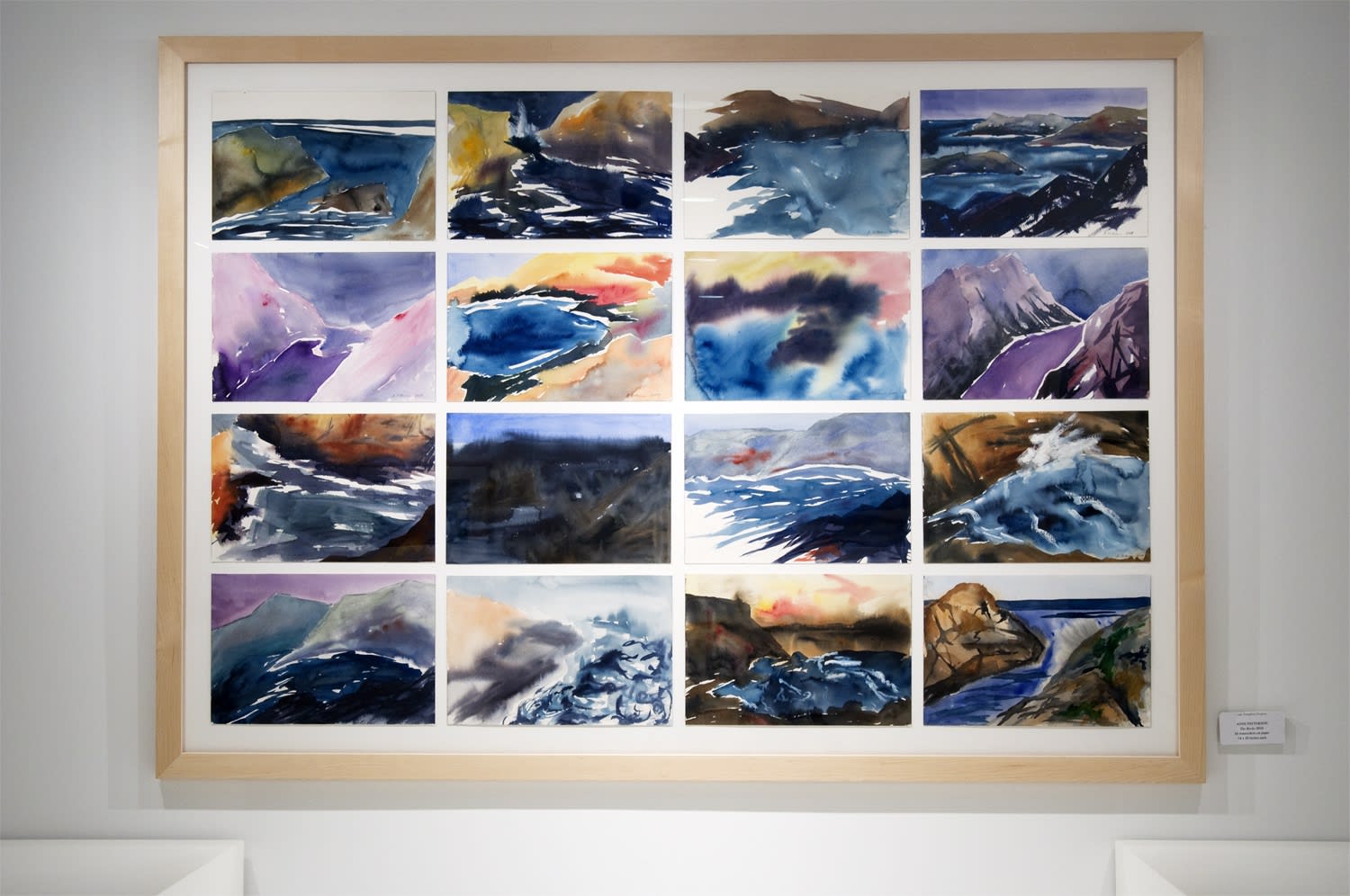 Elements of Nature Installation View, Cade Tompkins Projects