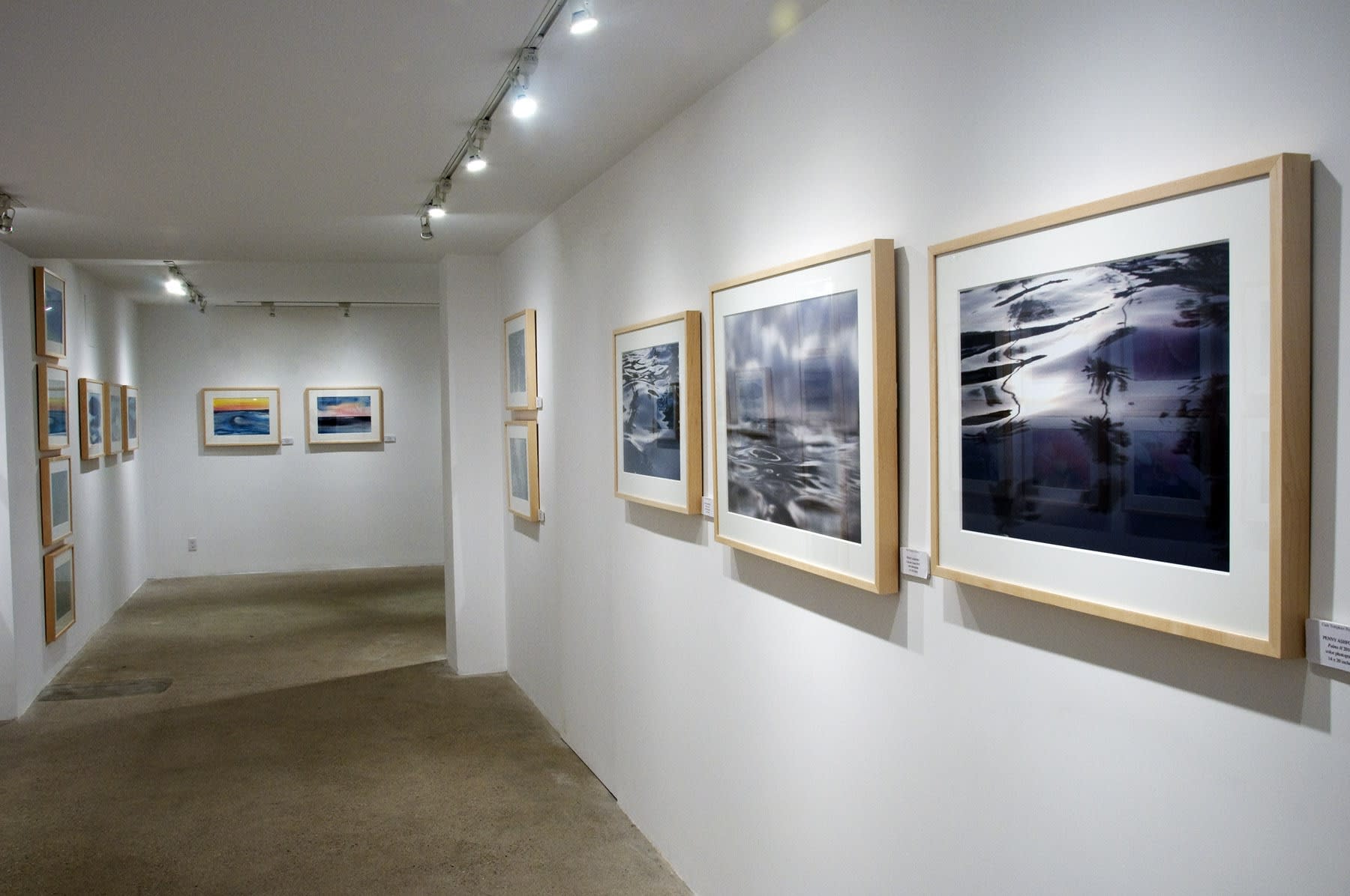 Elements of Nature Installation View, Cade Tompkins Projects