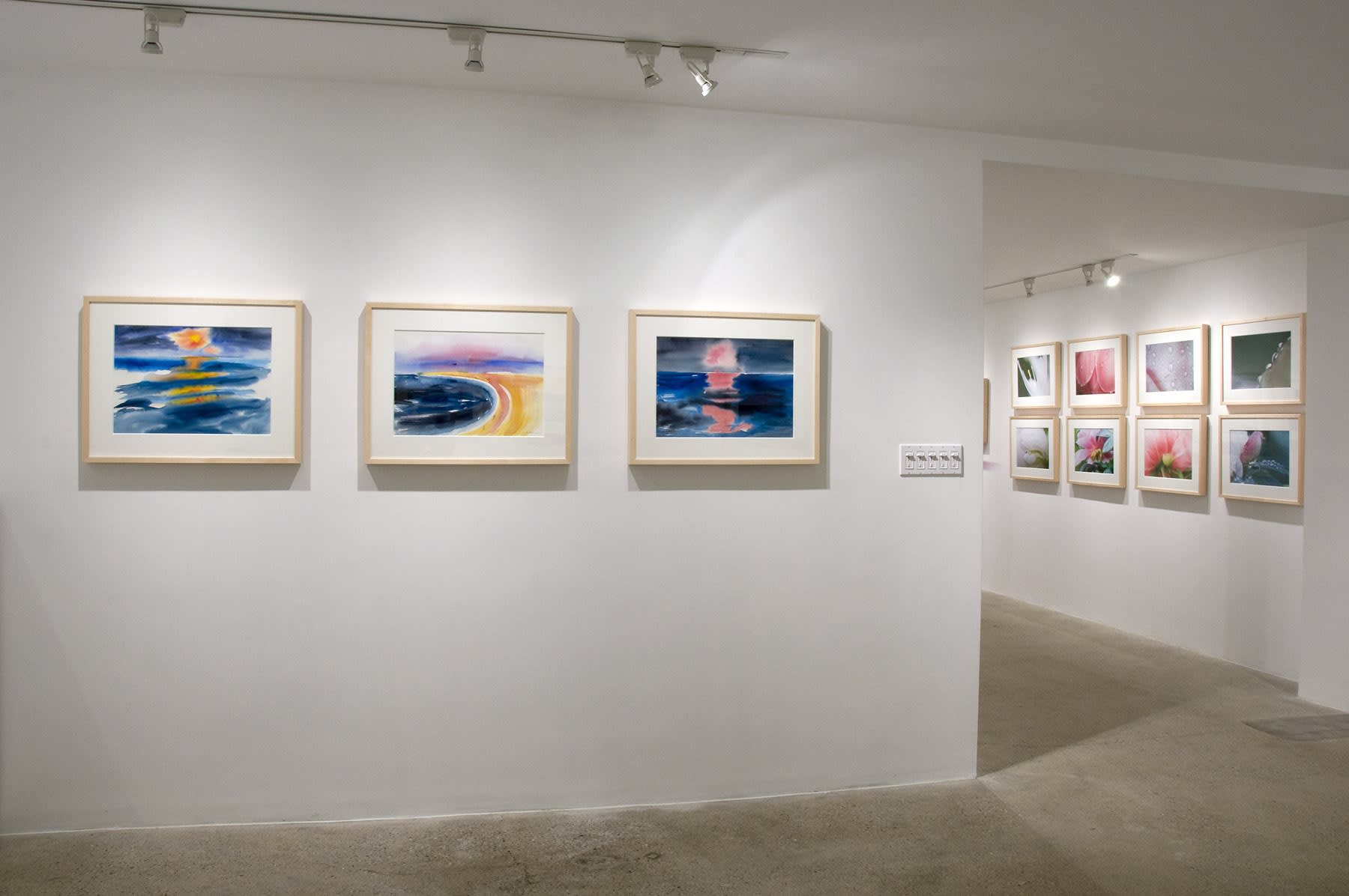 Elements of Nature Installation View, Cade Tompkins Projects