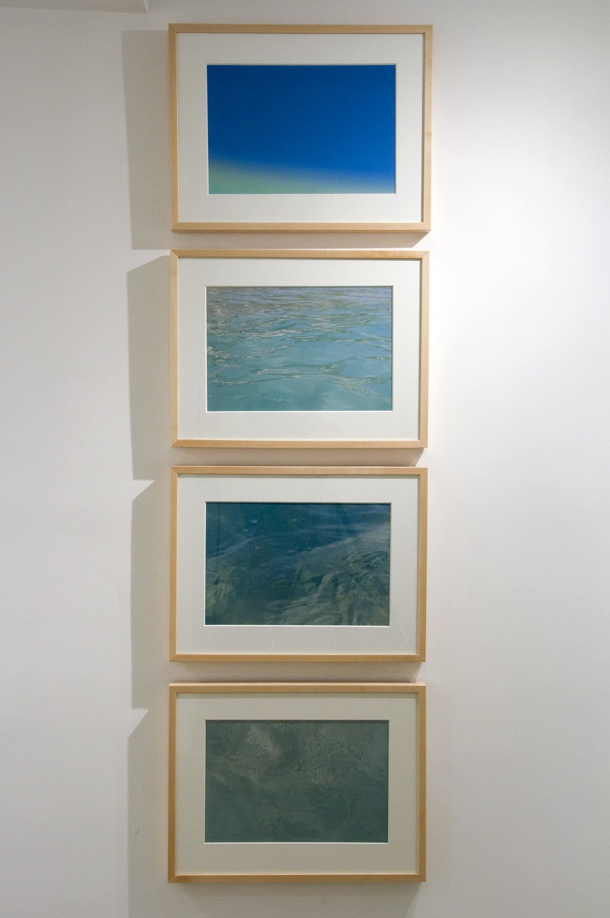 Elements of Nature Installation View, Cade Tompkins Projects