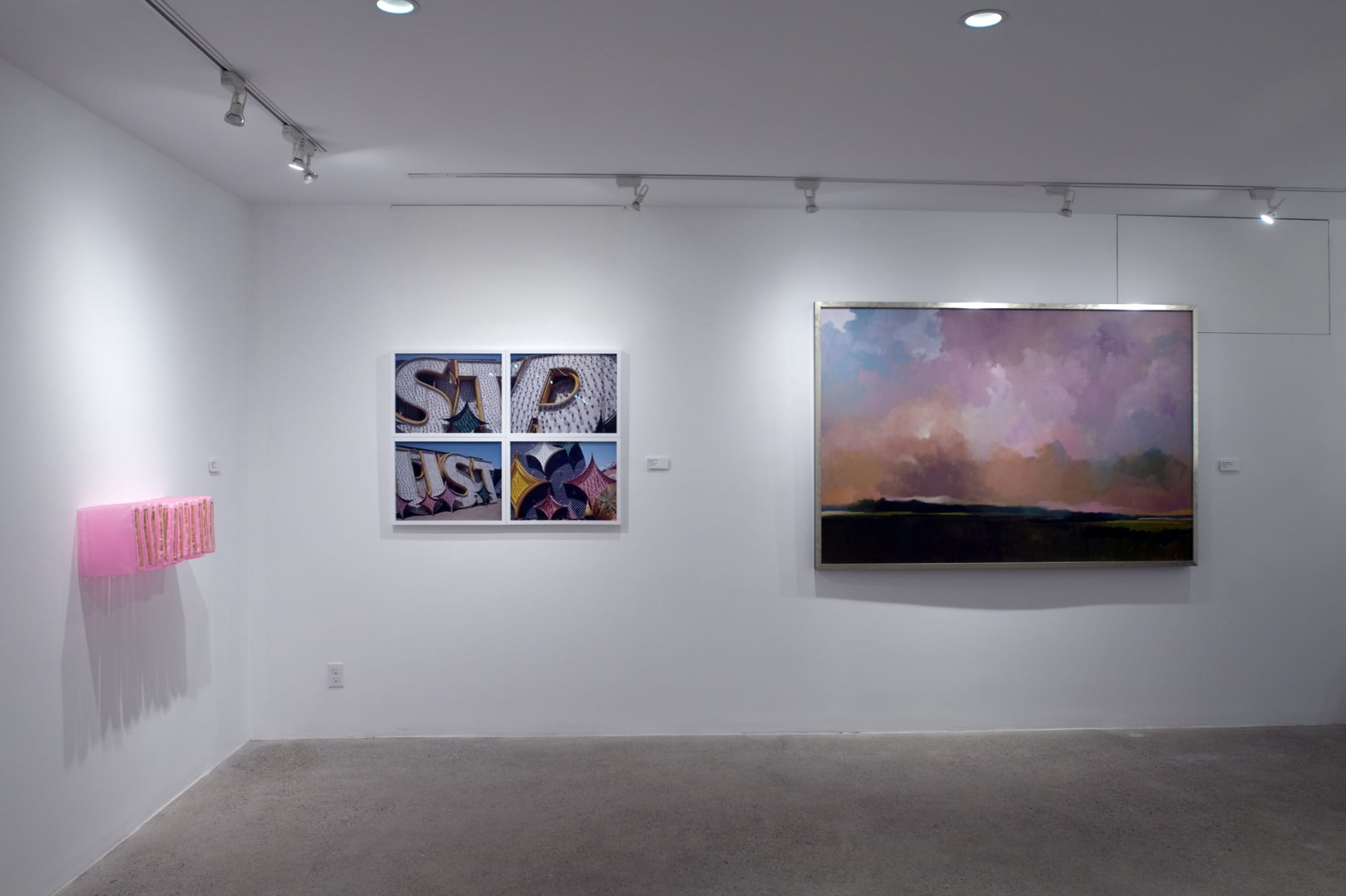 Pink is the New Black Installation View, Cade Tompkins Projects