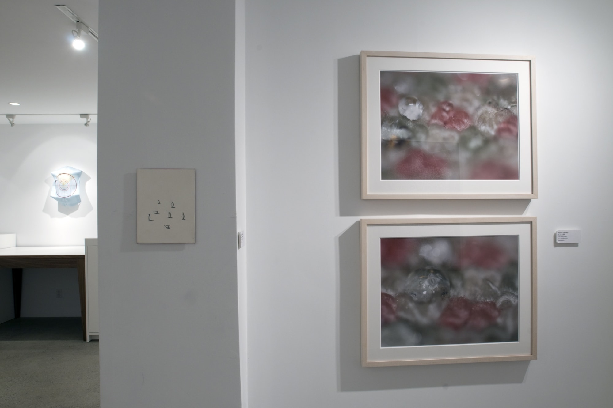 Pink is the New Black Installation View, Cade Tompkins Projects