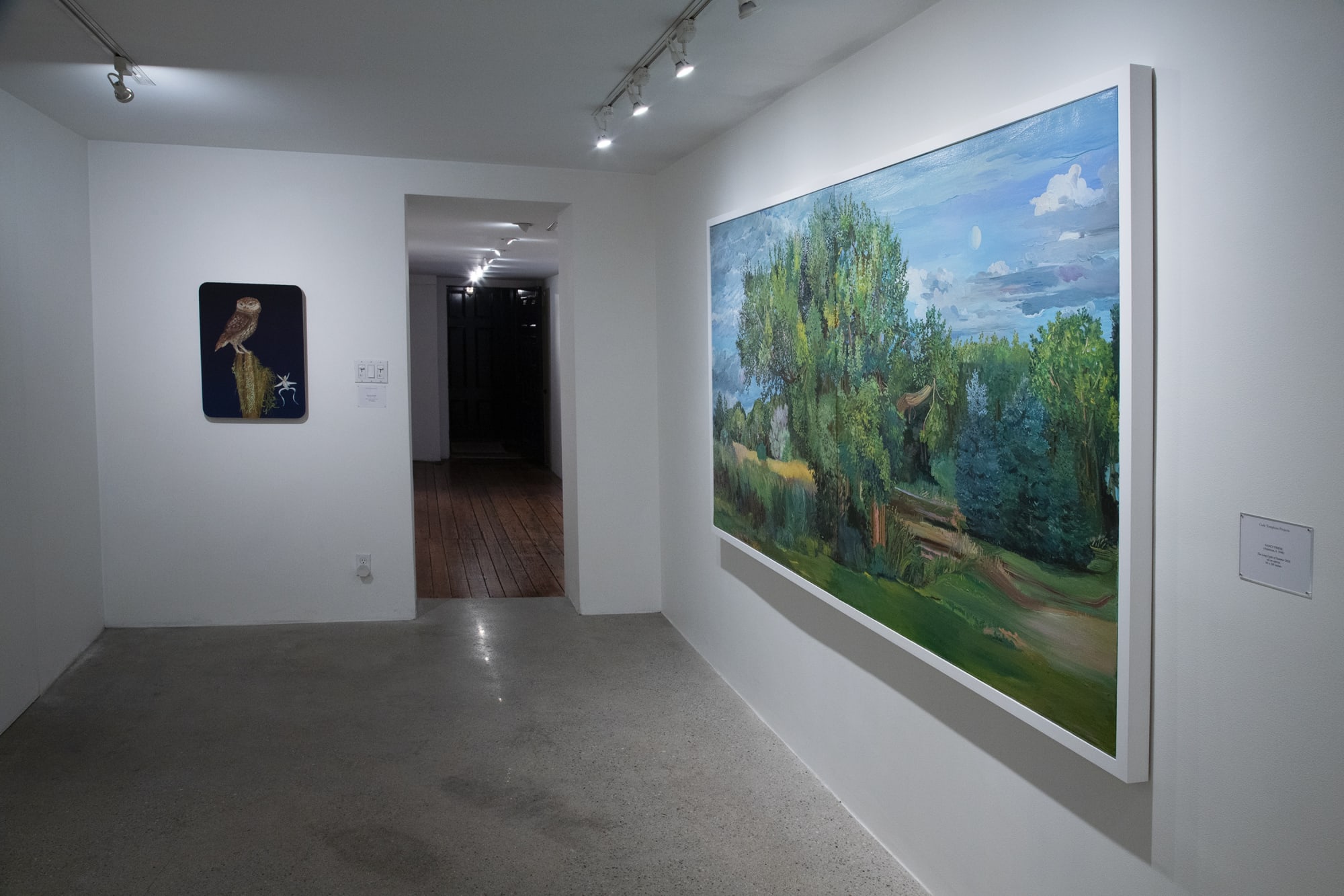 Paradise Installation View, Cade Tompkins Projects