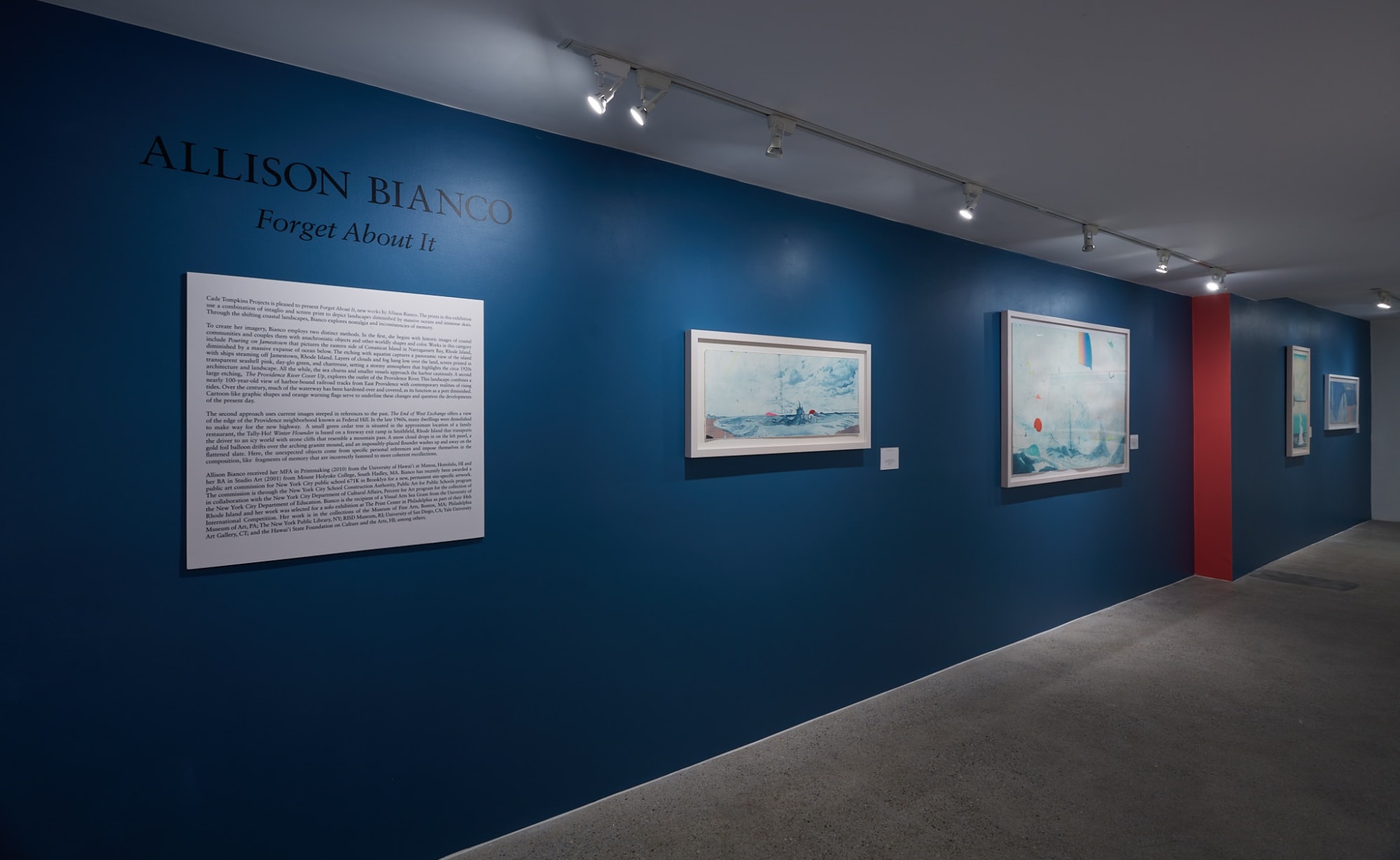 Allison Bianco Installation View, Cade Tompkins Projects