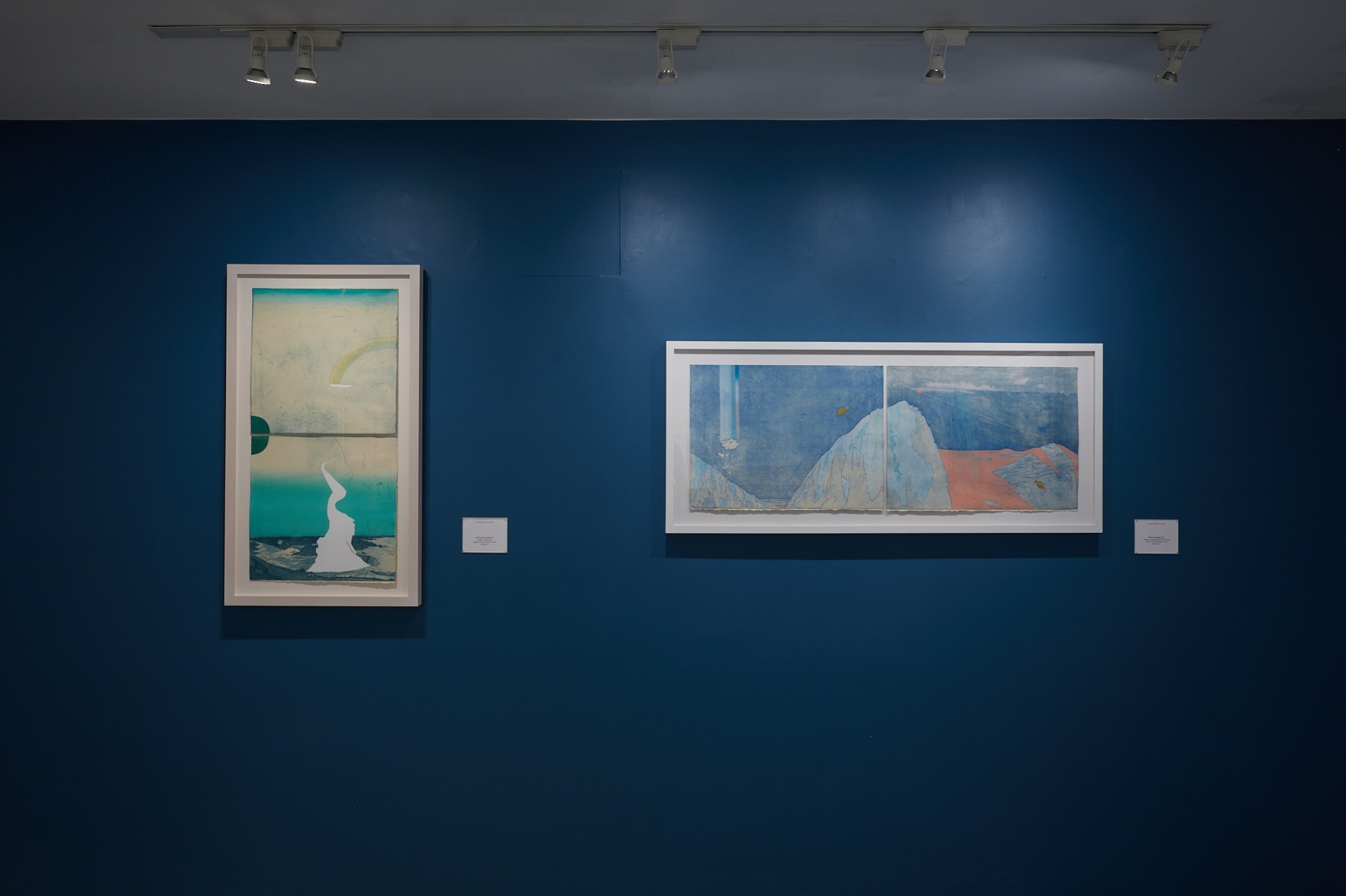 Allison Bianco Installation View, Cade Tompkins Projects