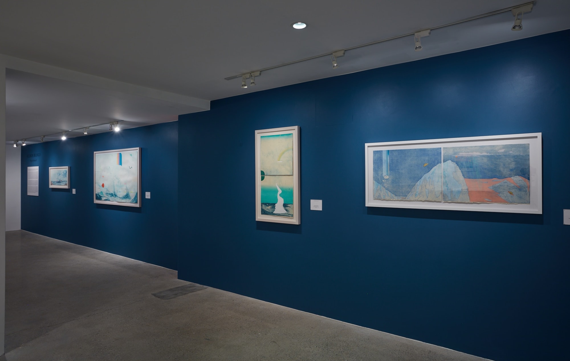 Allison Bianco Installation View, Cade Tompkins Projects