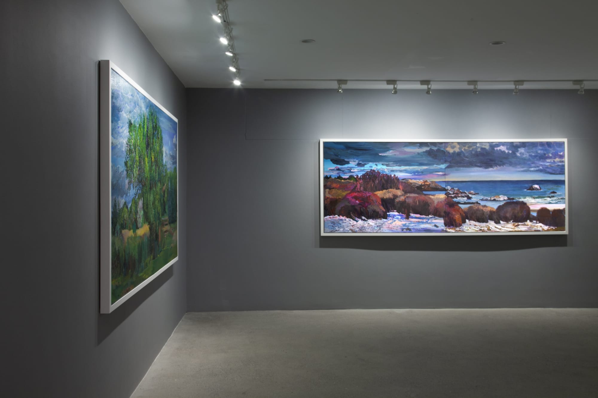 Nancy Friese: Eloquent Landscapes at Cade Tompkins Projects