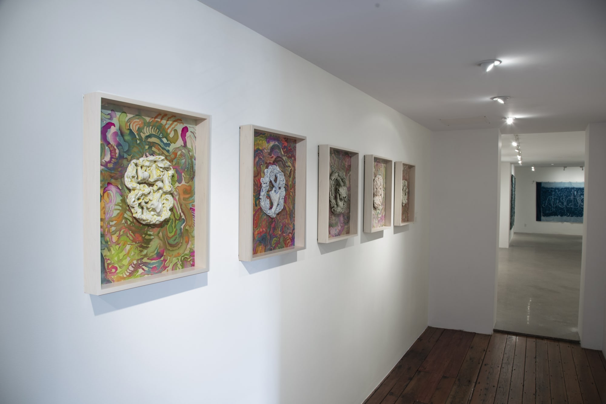 Serena Perrone: Accept the Omen, Installation View at Cade Tompkins Projects