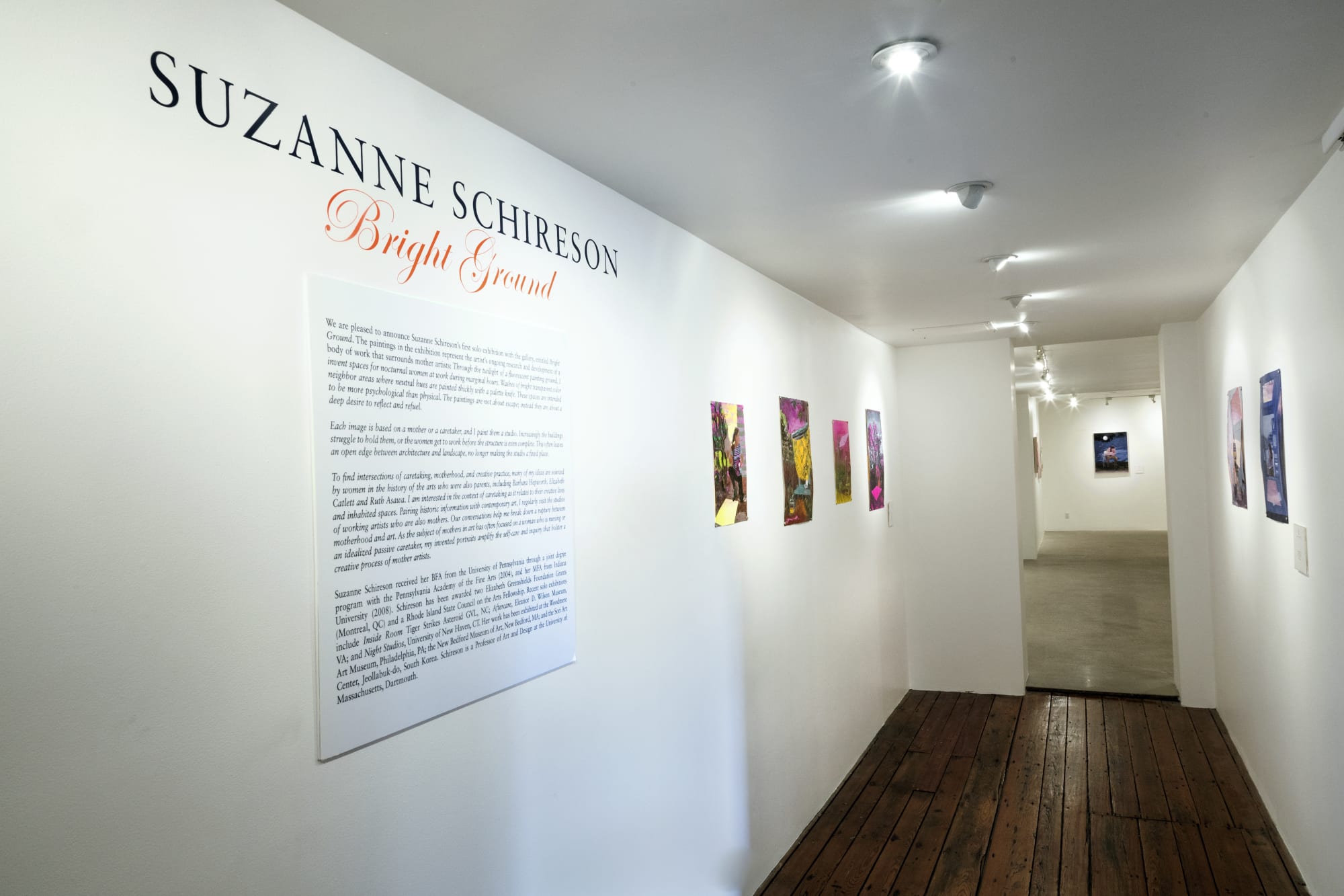 Suzanne Schireson Installation View