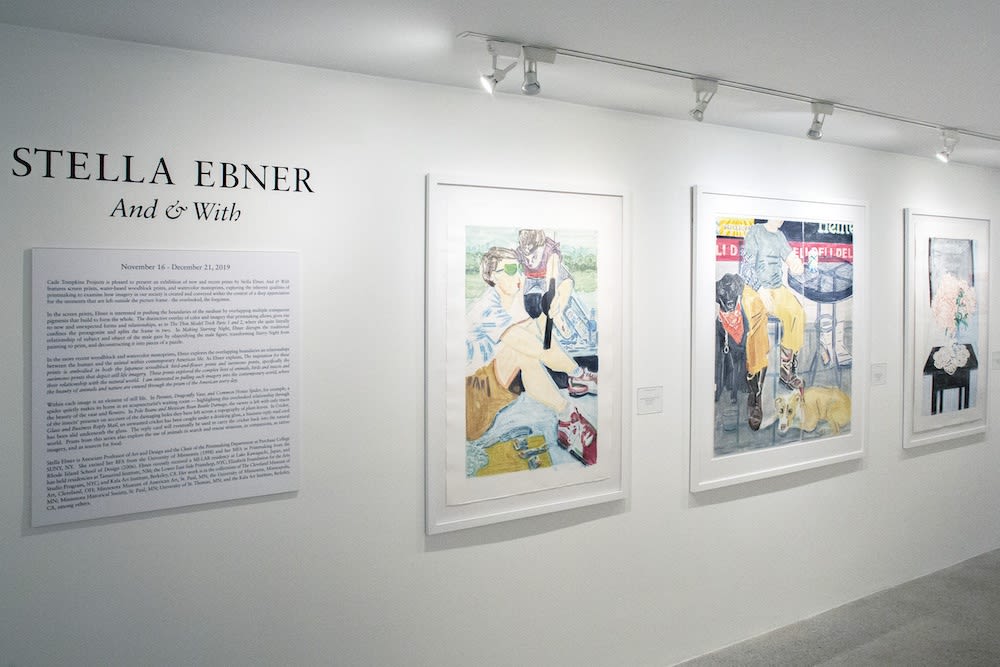 Stella Ebner Installation View, Cade Tompkins Projects