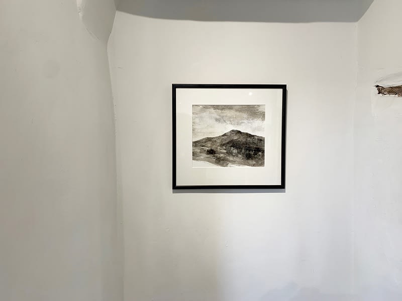 Bridget Macdonald - The Year Turns