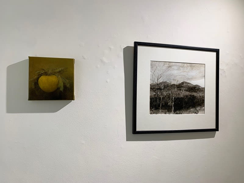 Bridget Macdonald - The Year Turns