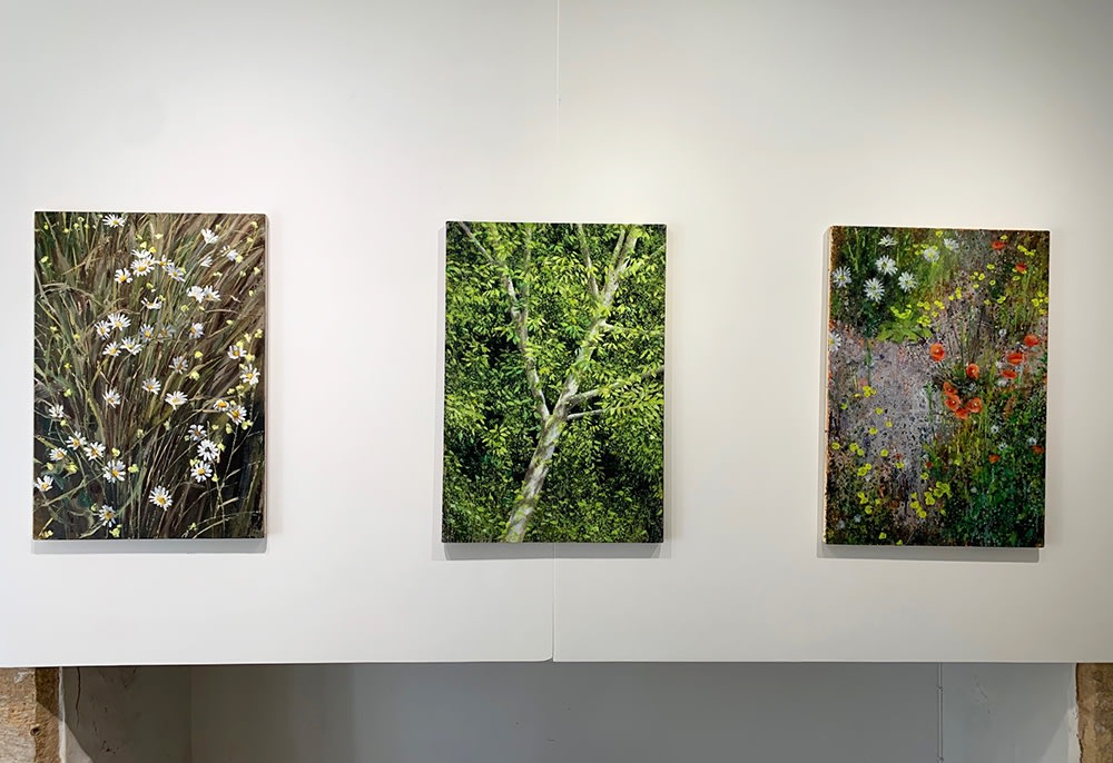 David Edmond - Verdant