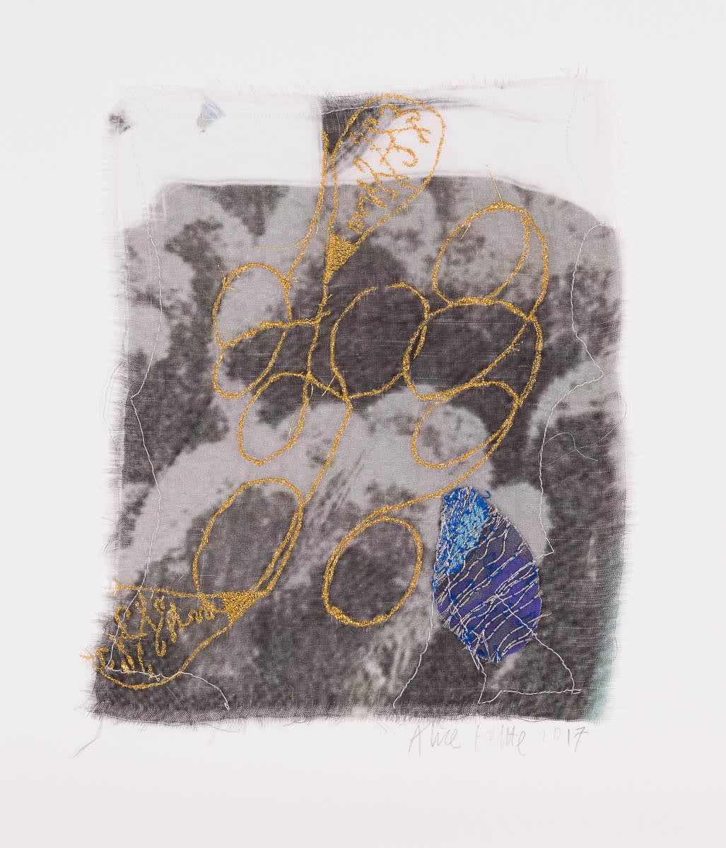 Alice Kettle Vines 2, 2017