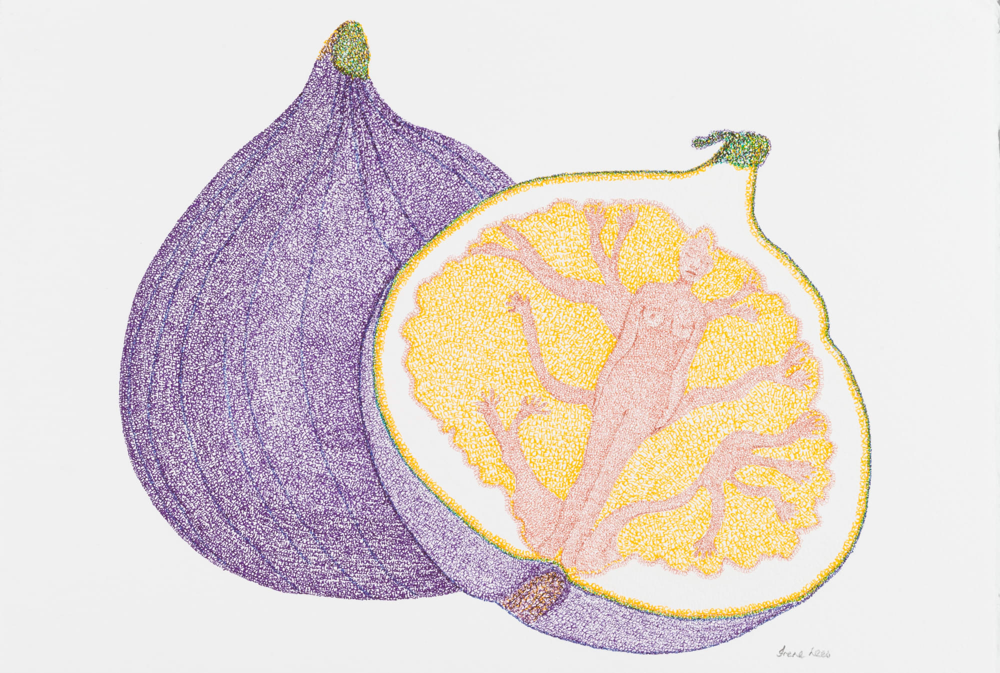 Irene Lees The Fig Tree, 2019