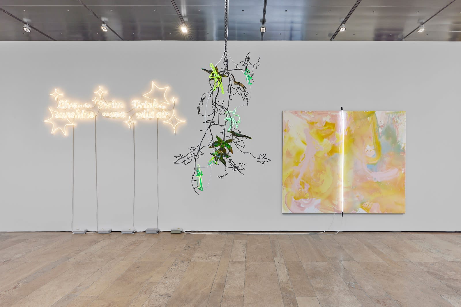 Andrea Bowers and Mary Weatherford