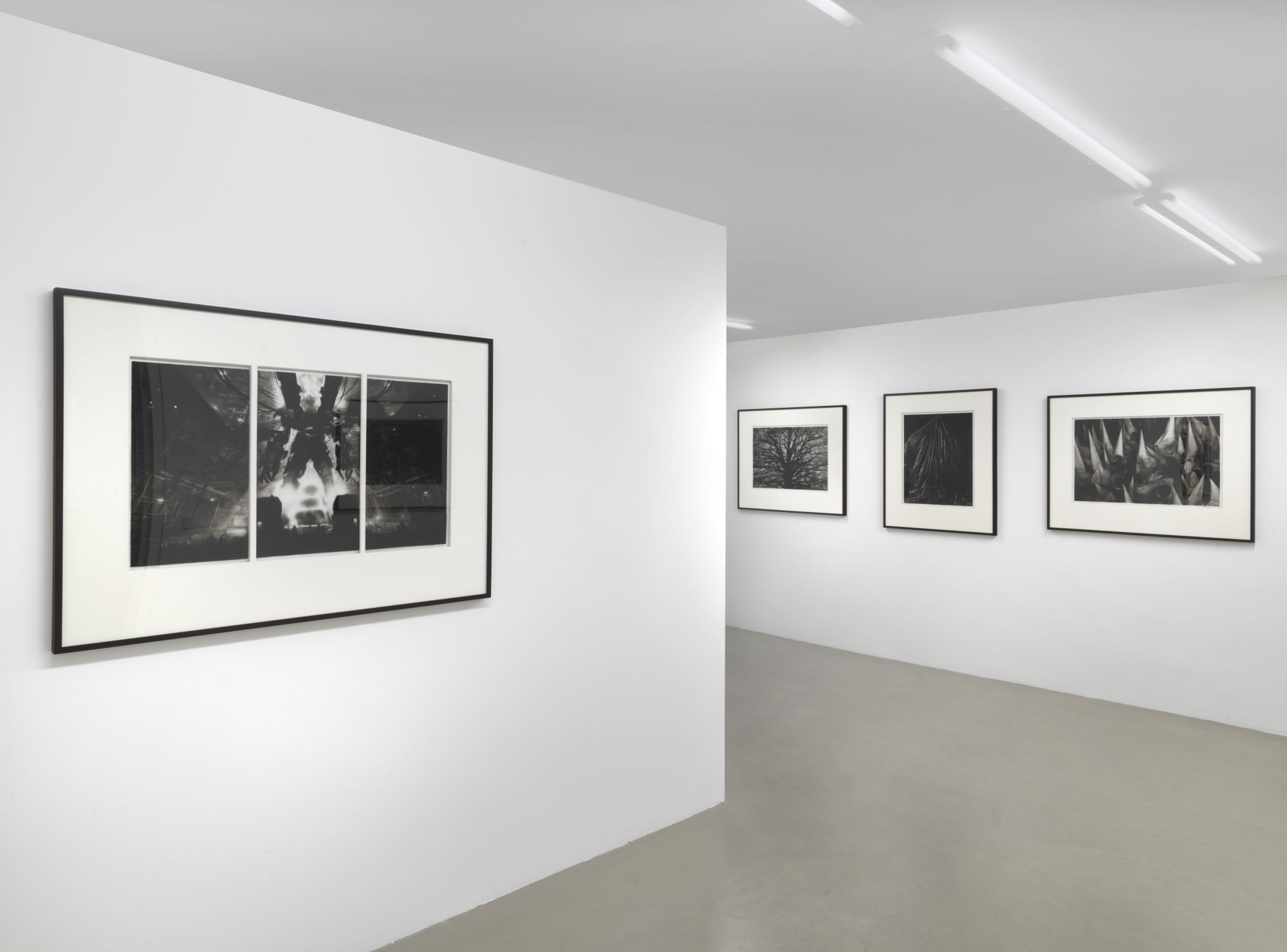 Robert Longo
