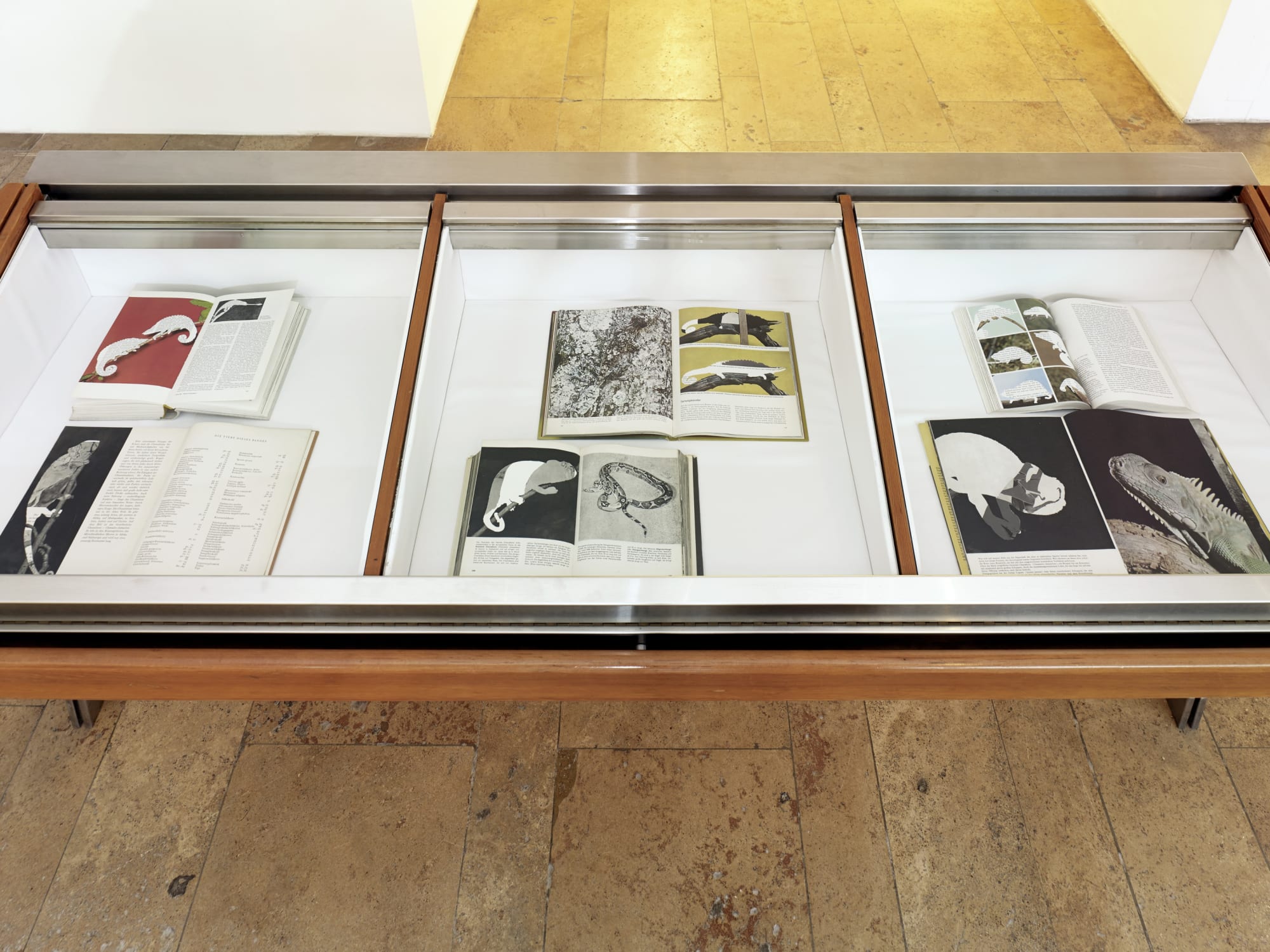 The Feverish Library