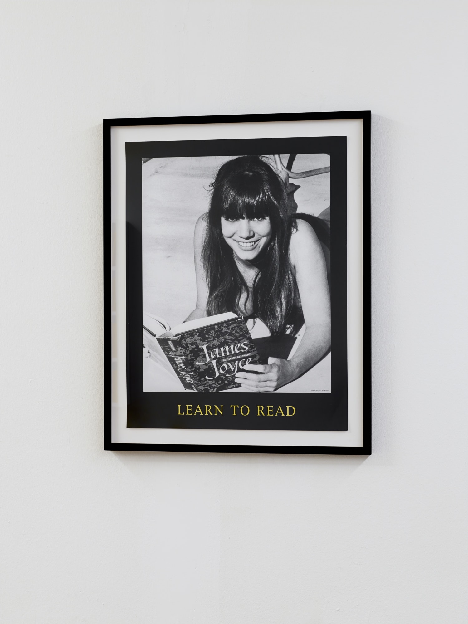 The Feverish Library