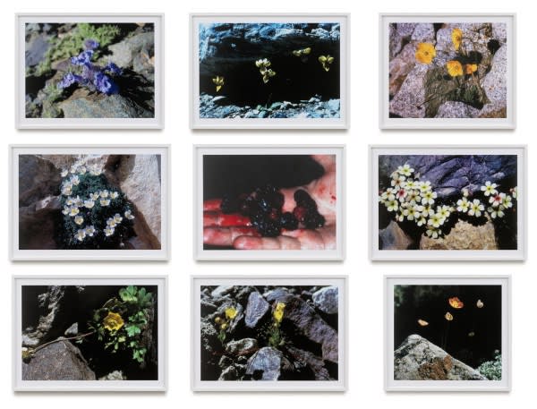 彼得-皮勒 | Peter Piller