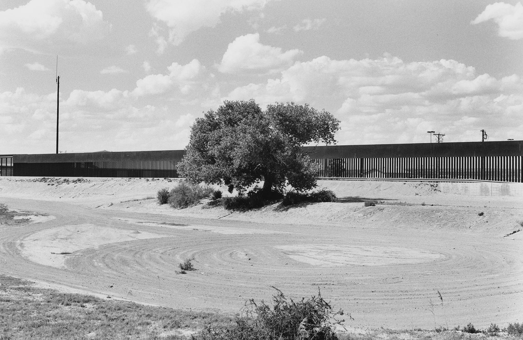 Zoe Leonard