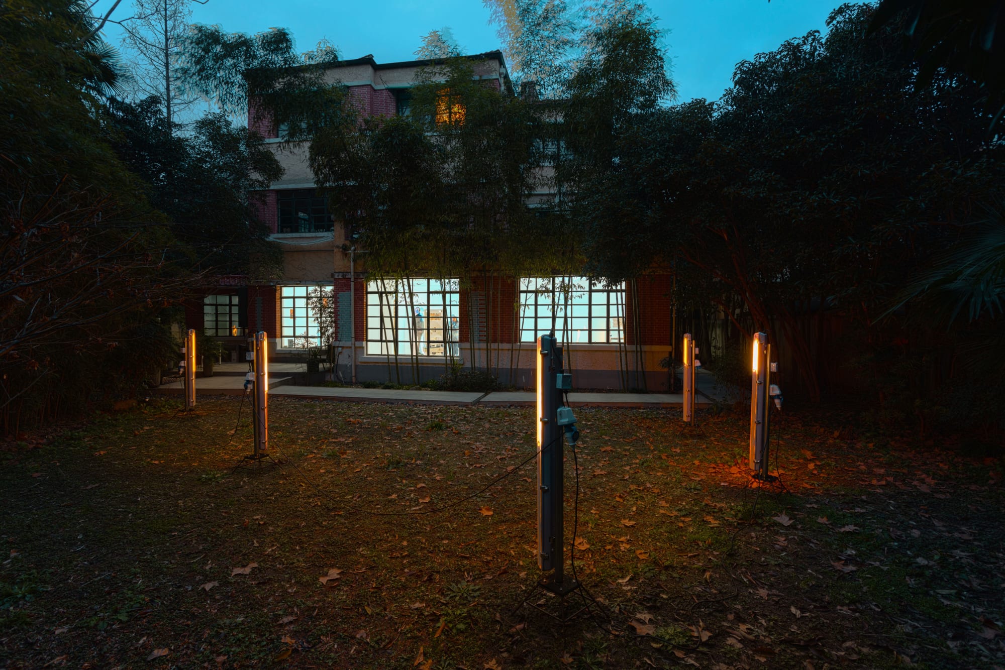 Leelee Chan: Core Sample