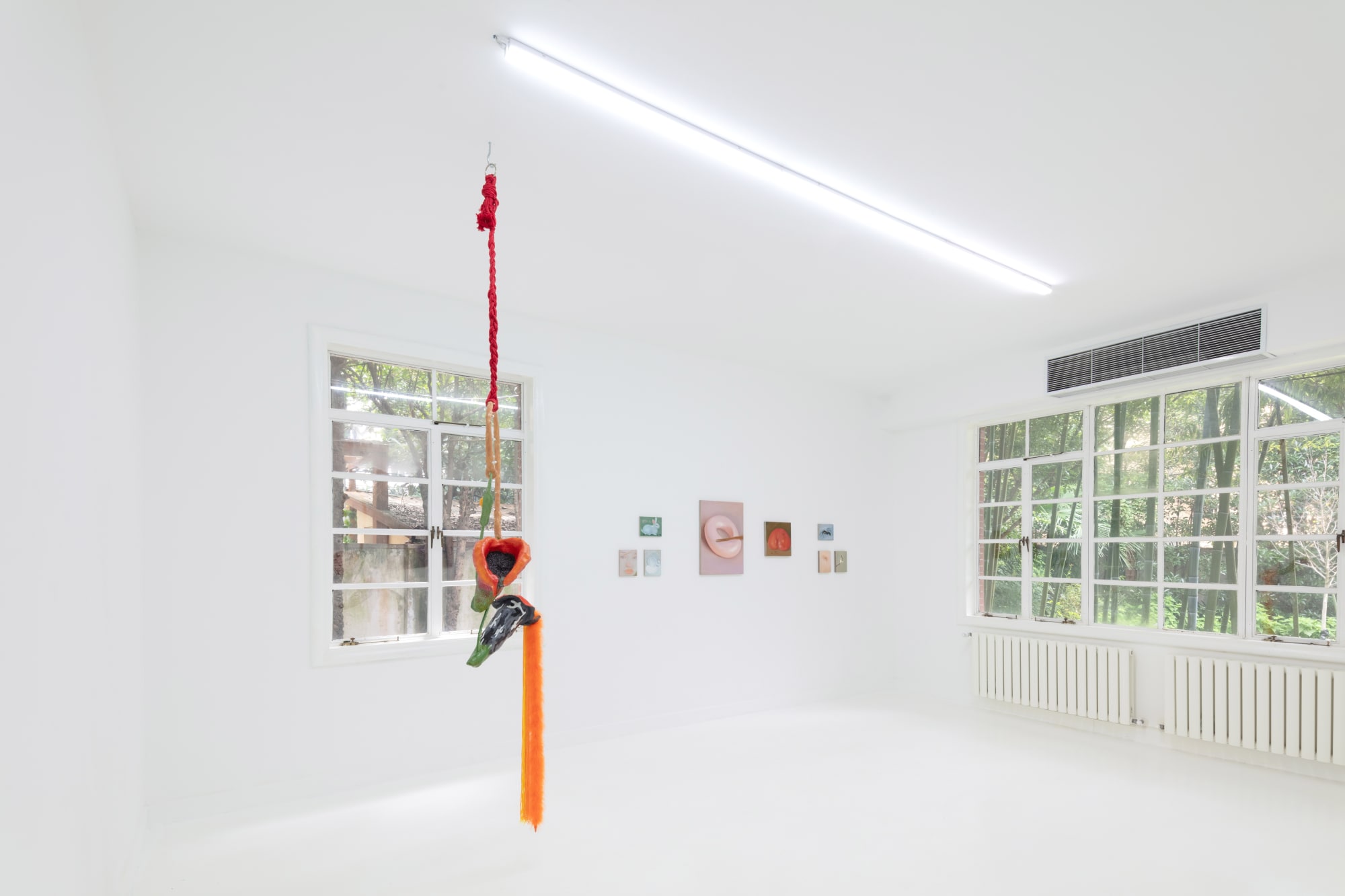 Right behind your eyes