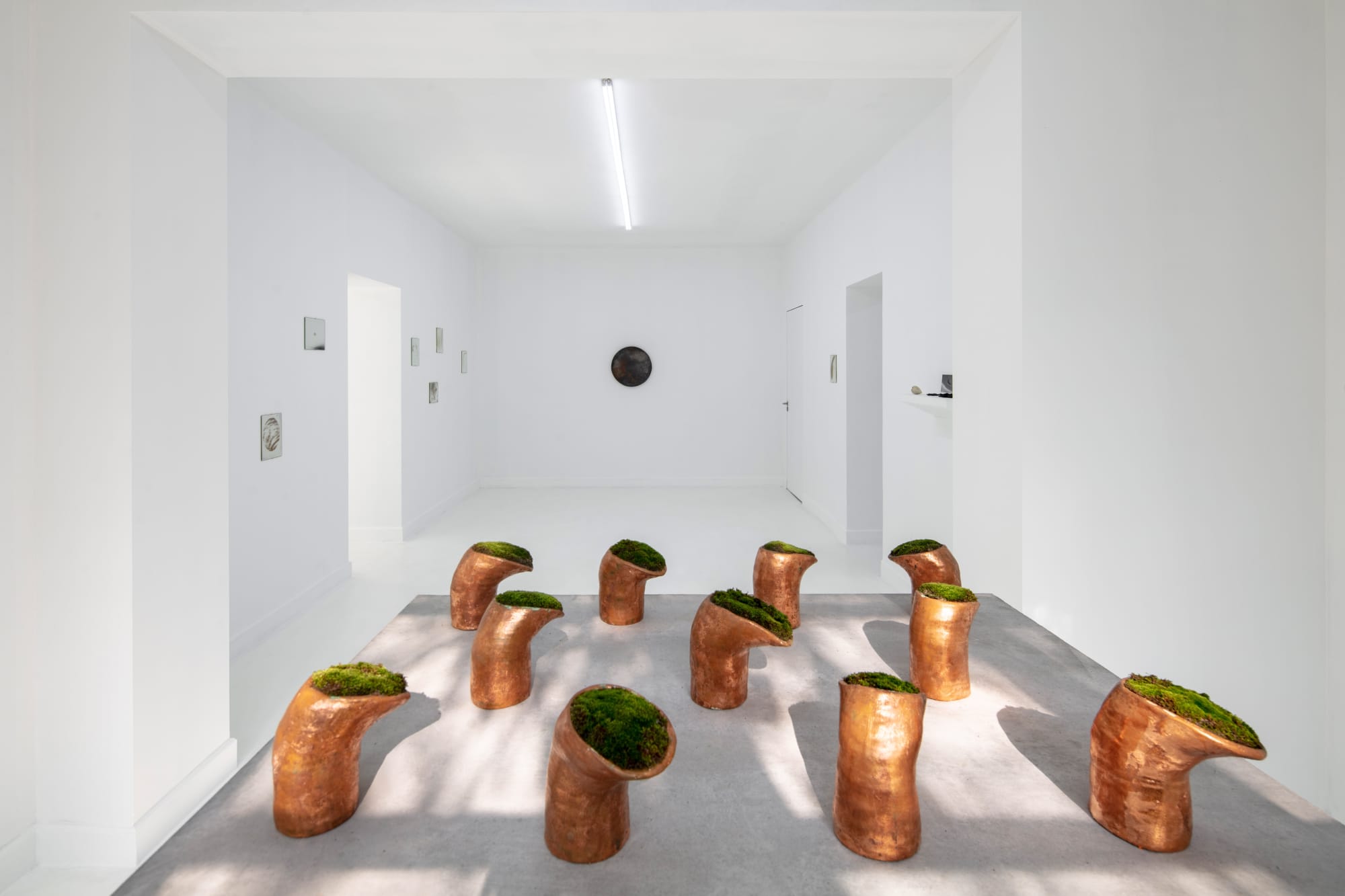 Down The Rabbit Hole