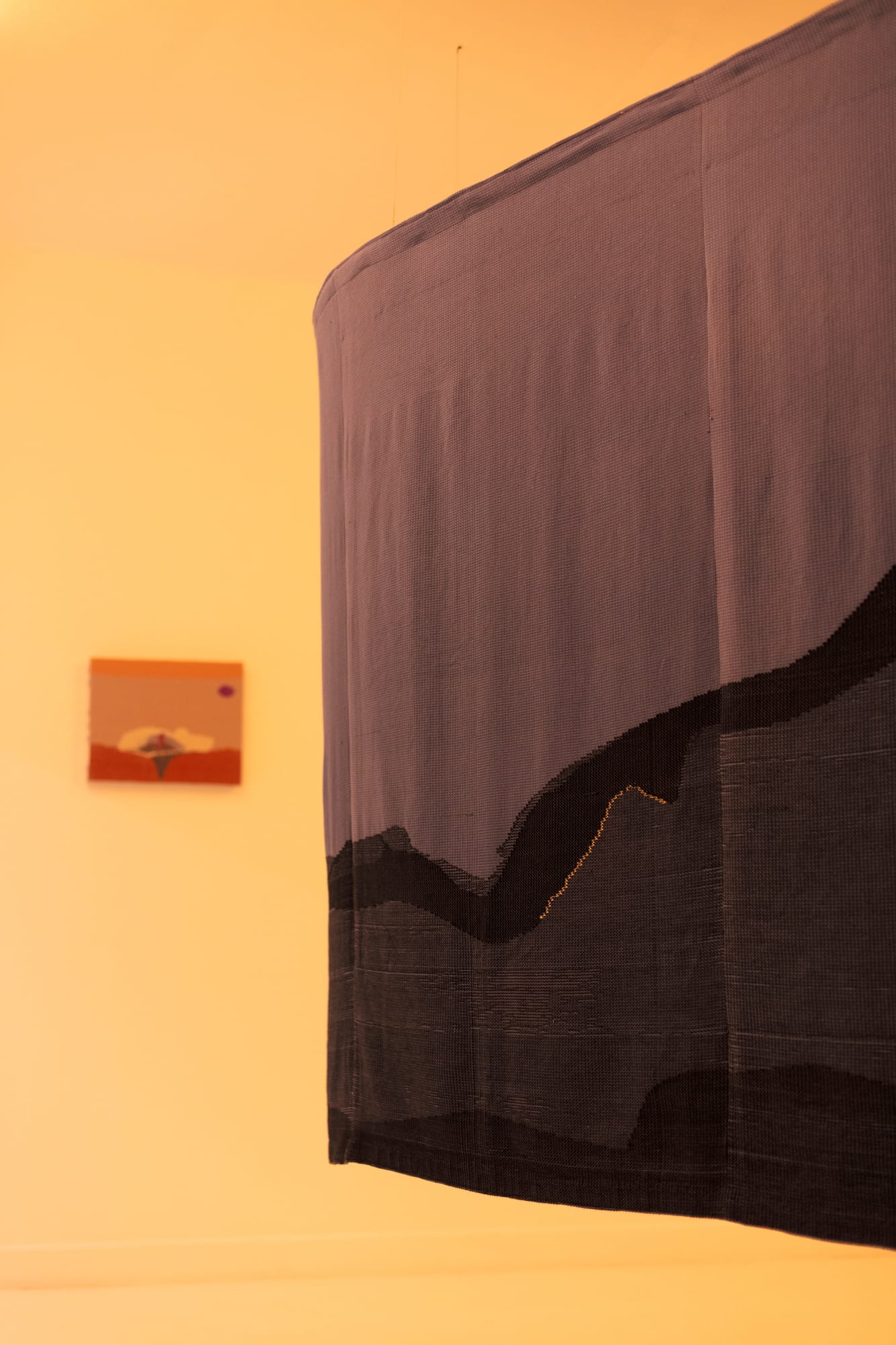 Miranda Fengyuan Zhang: A World Without Us