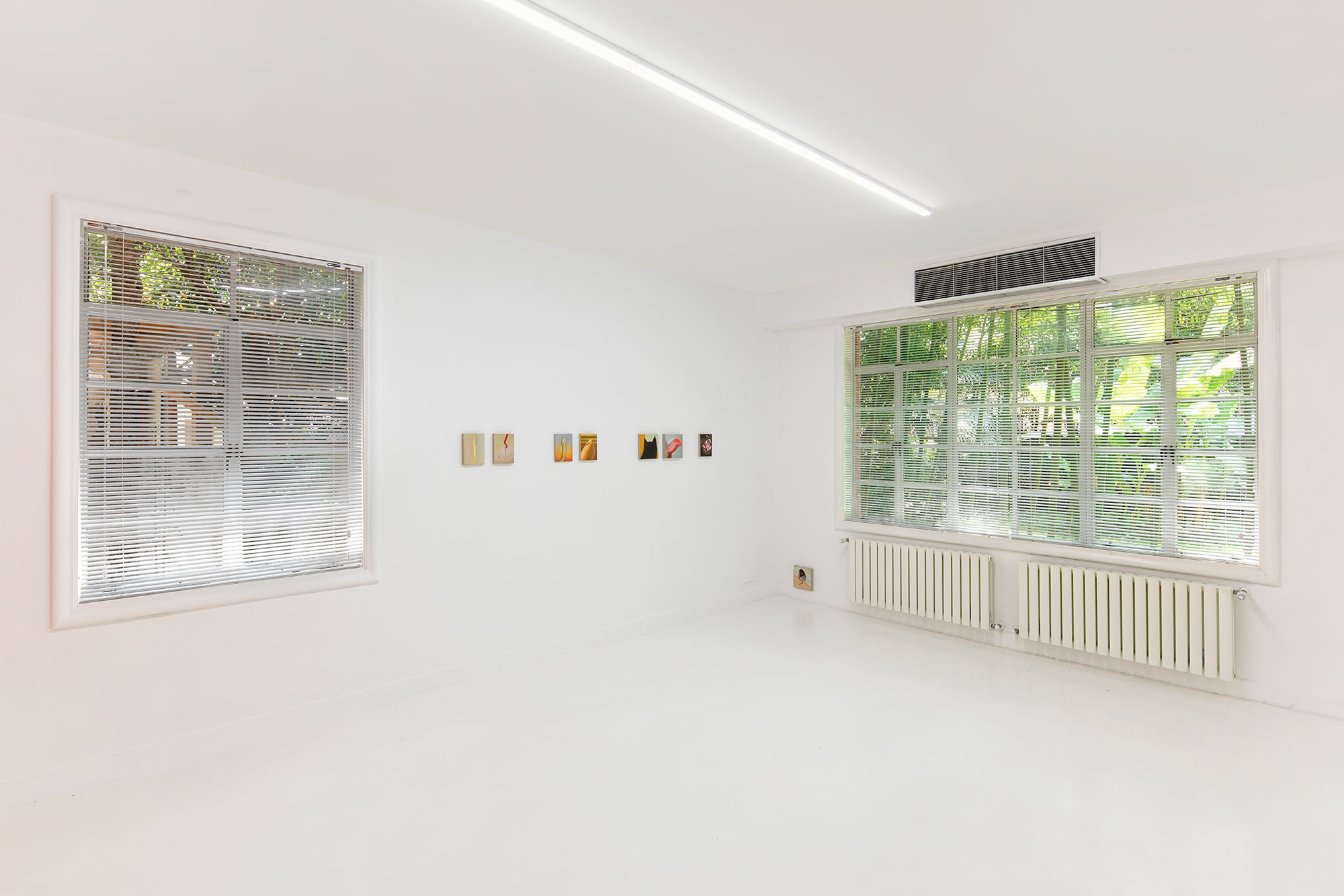 Tao Siqi: Tender Thorns