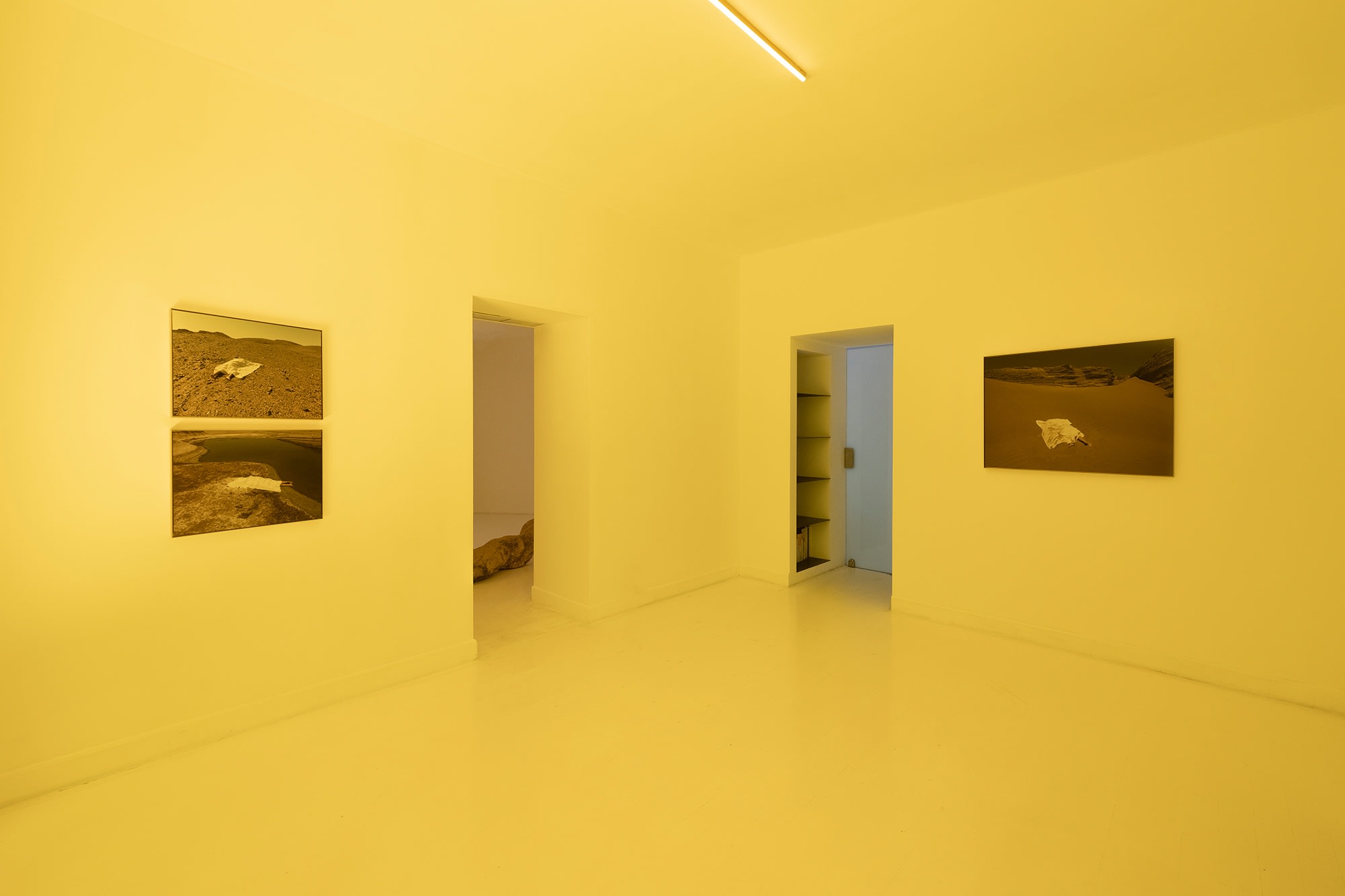 Yao Cong: Flies beyond the Clouds