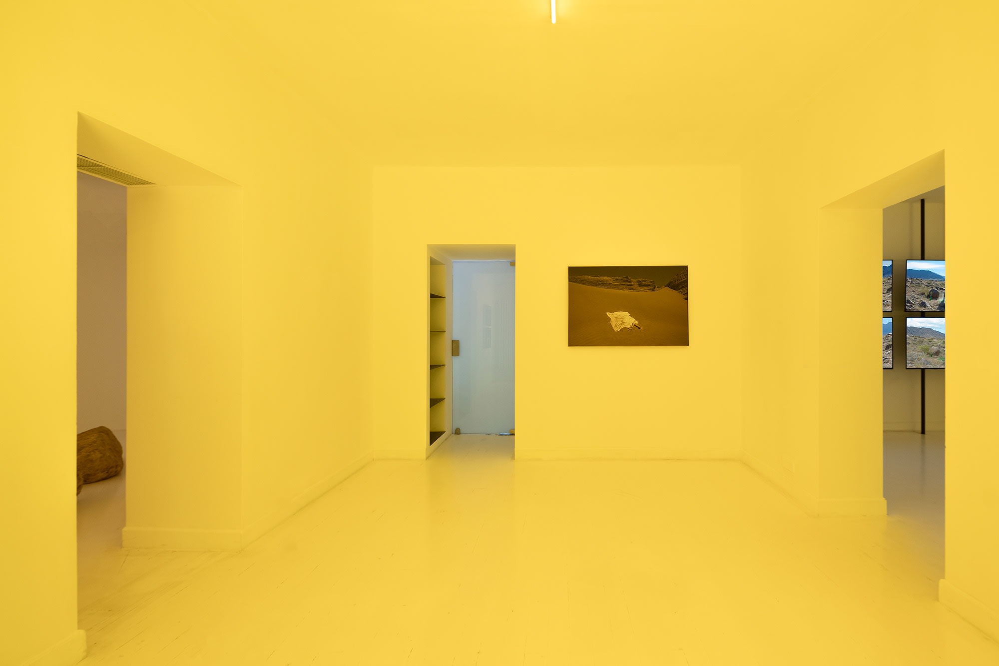 Yao Cong: Flies beyond the Clouds