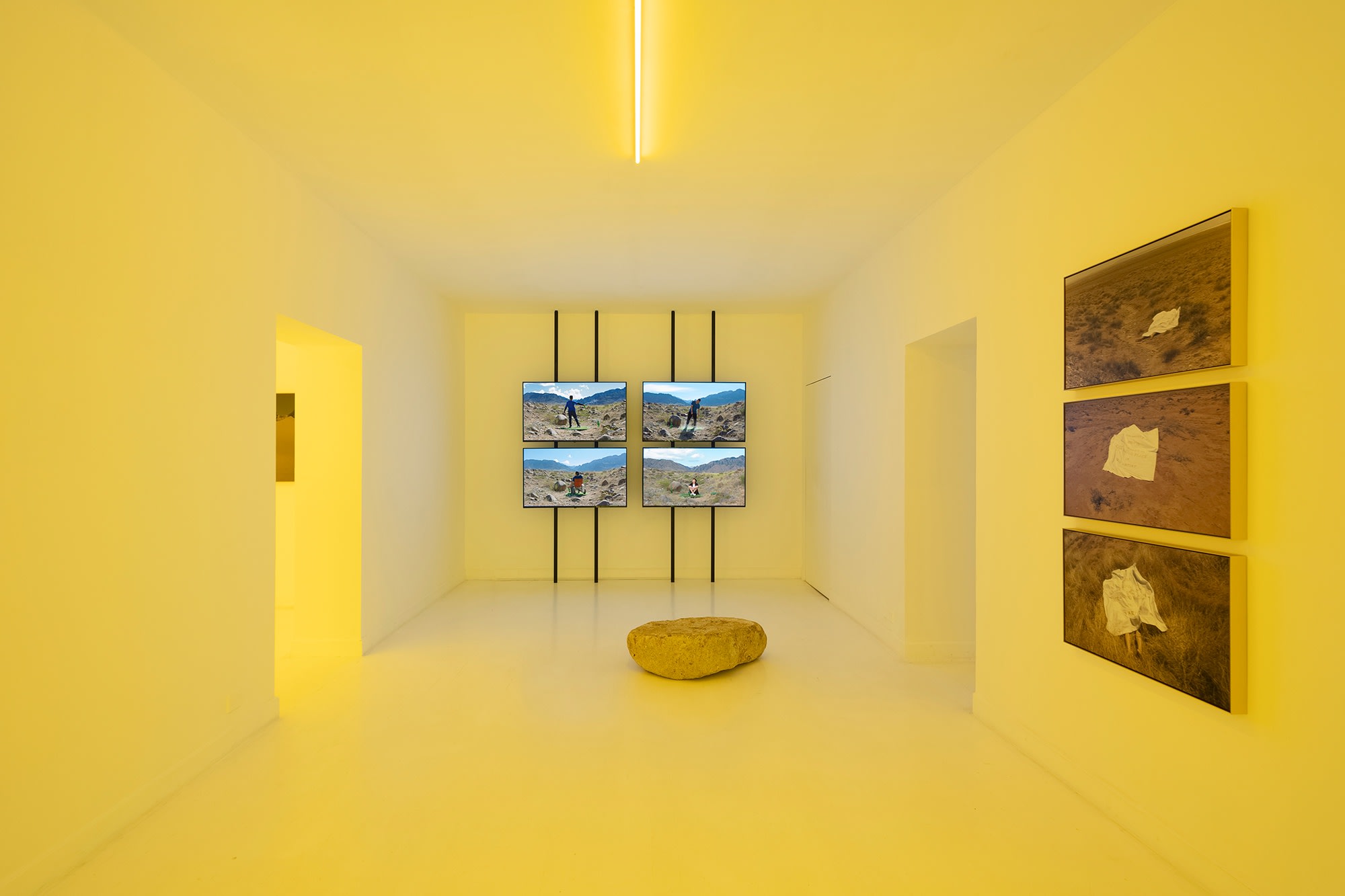 Yao Cong: Flies beyond the Clouds