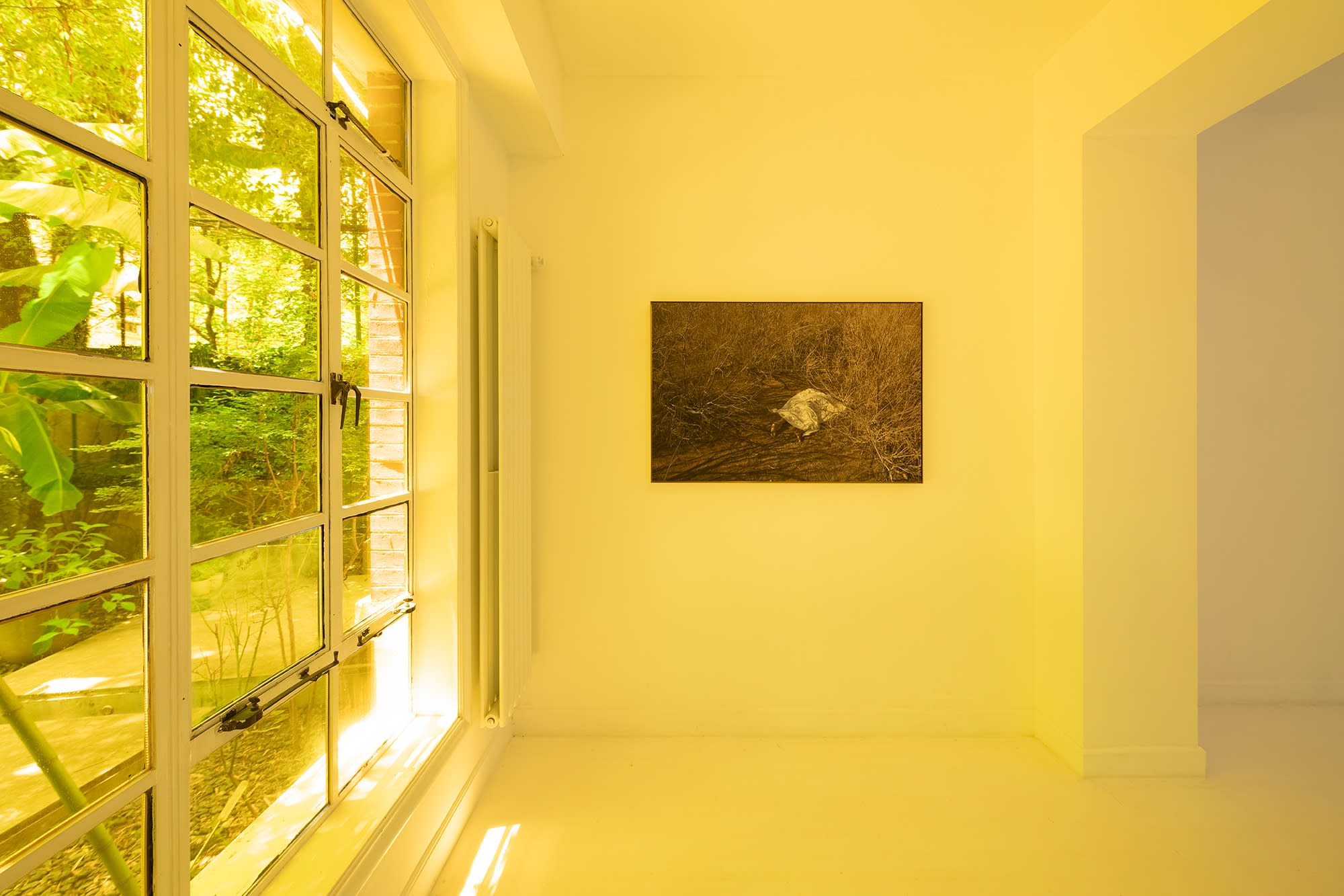 Yao Cong: Flies beyond the Clouds