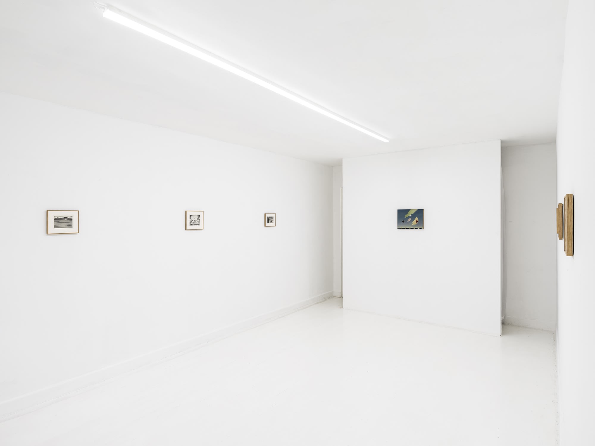 Kong Lingnan: Shepherding Fish