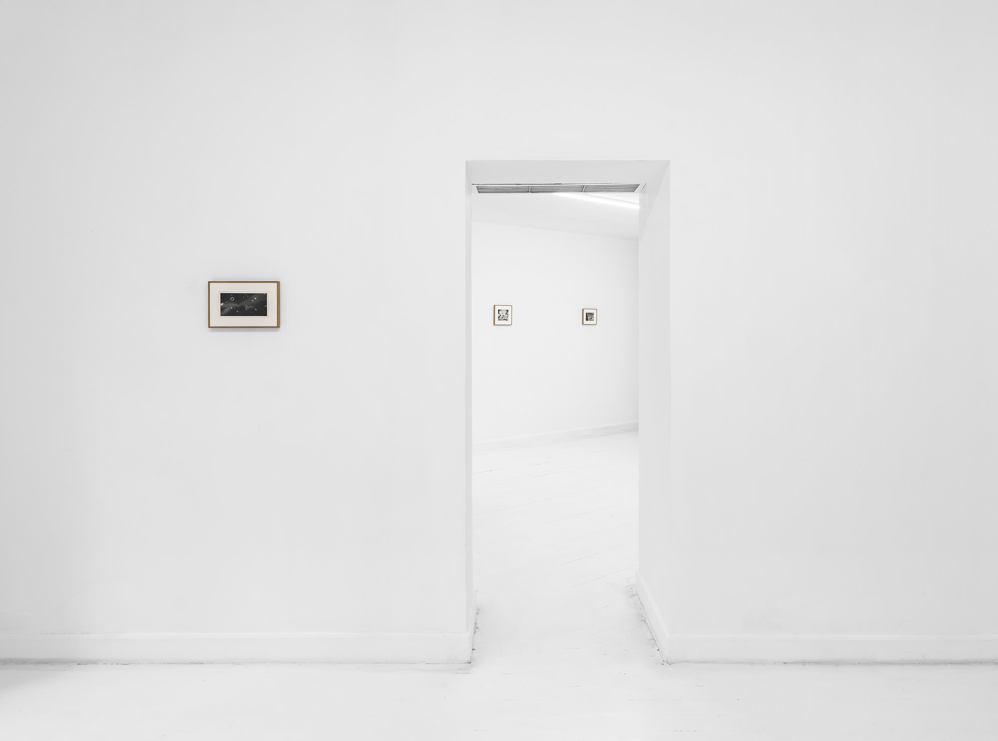 Kong Lingnan: Shepherding Fish