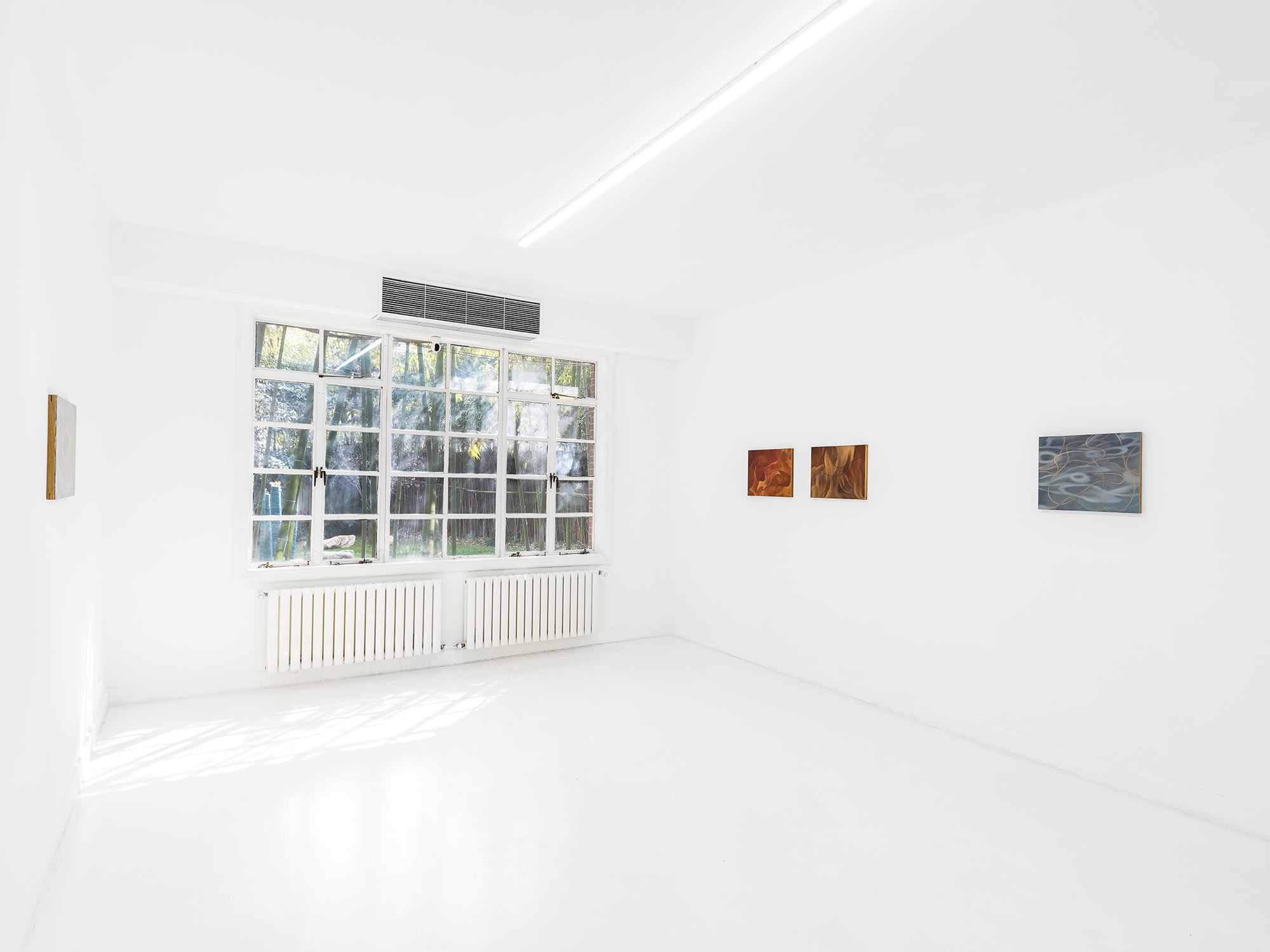 Kong Lingnan: Shepherding Fish