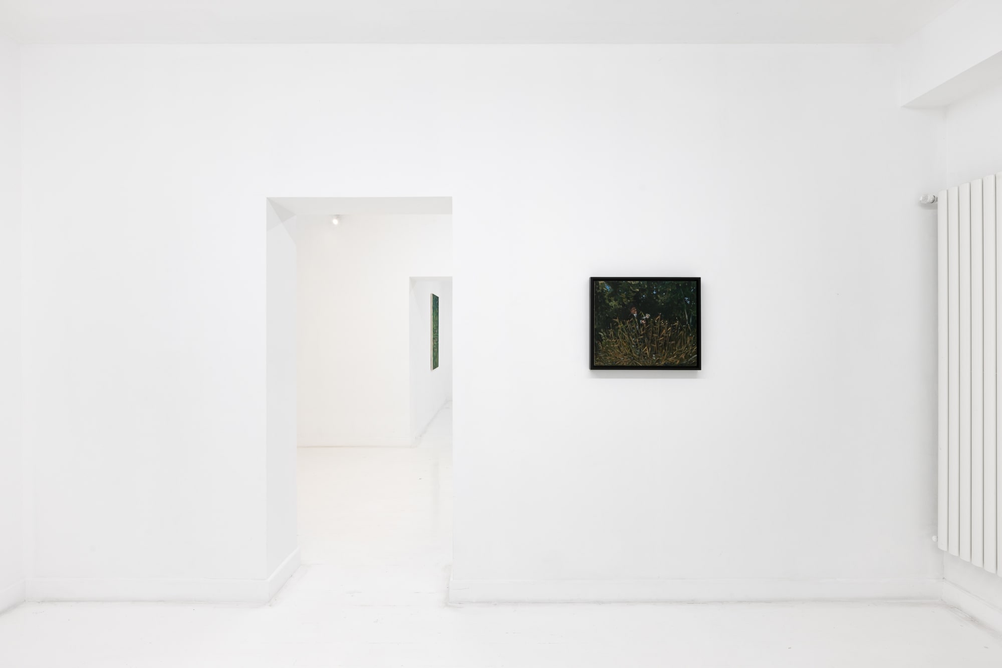 Adrian Geller: Warping Lines