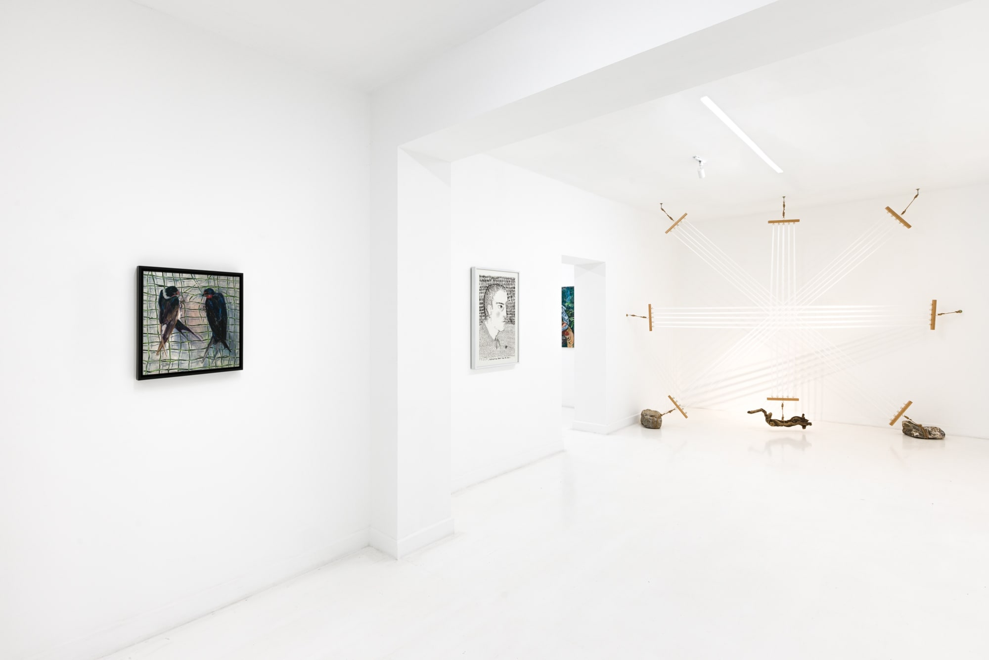 Adrian Geller: Warping Lines