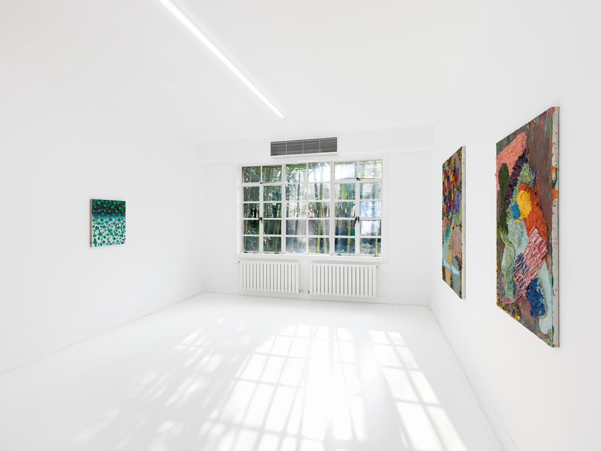 Daniel Chen: Flowers in the Mirror