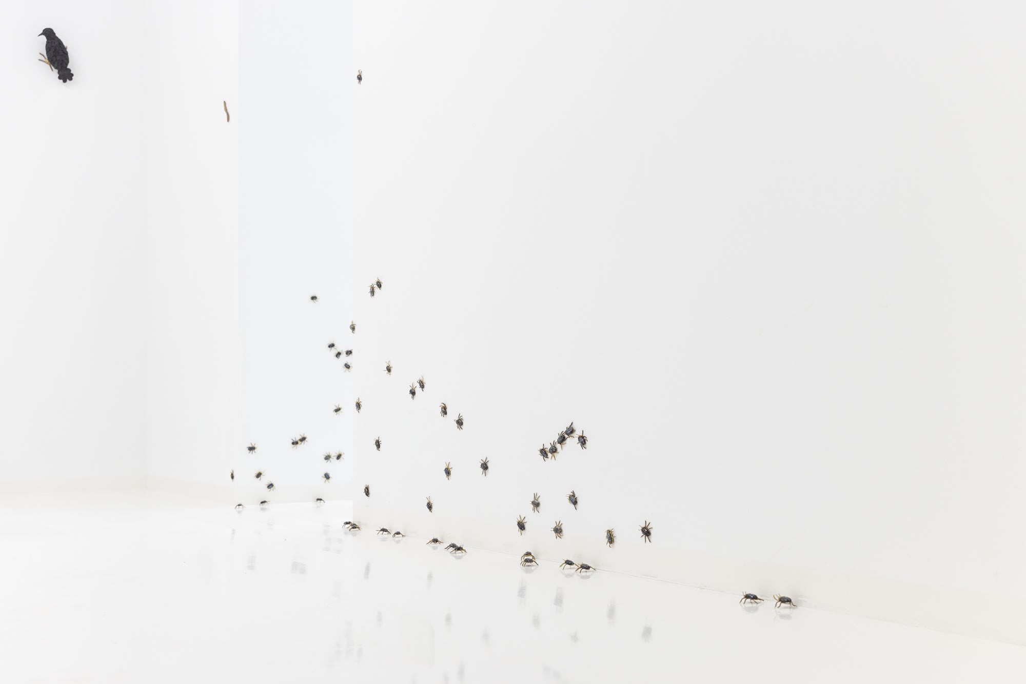 Elizabeth Jaeger: Contempt