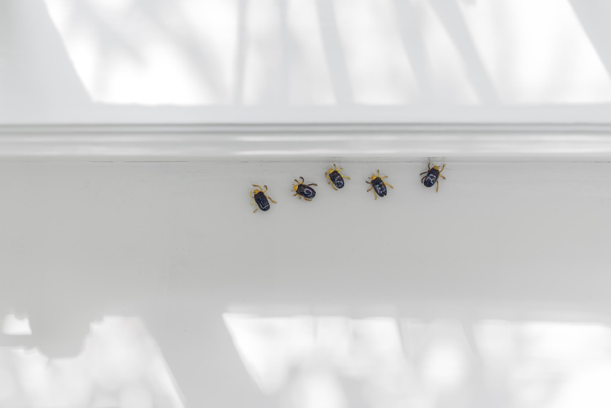 Elizabeth Jaeger: Contempt