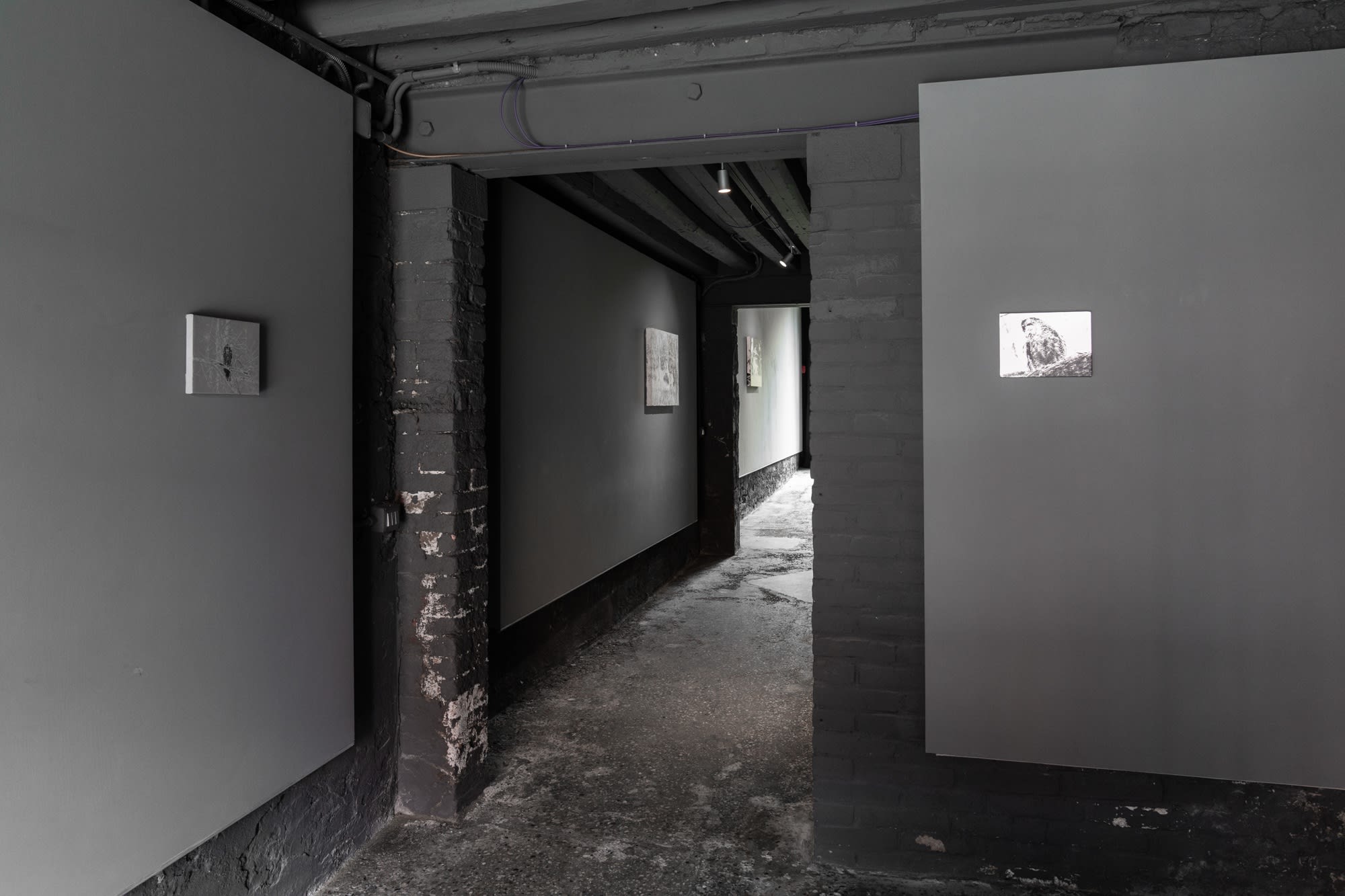 Photo by Riccardo Banfi 照片由Riccardo Banfi拍摄