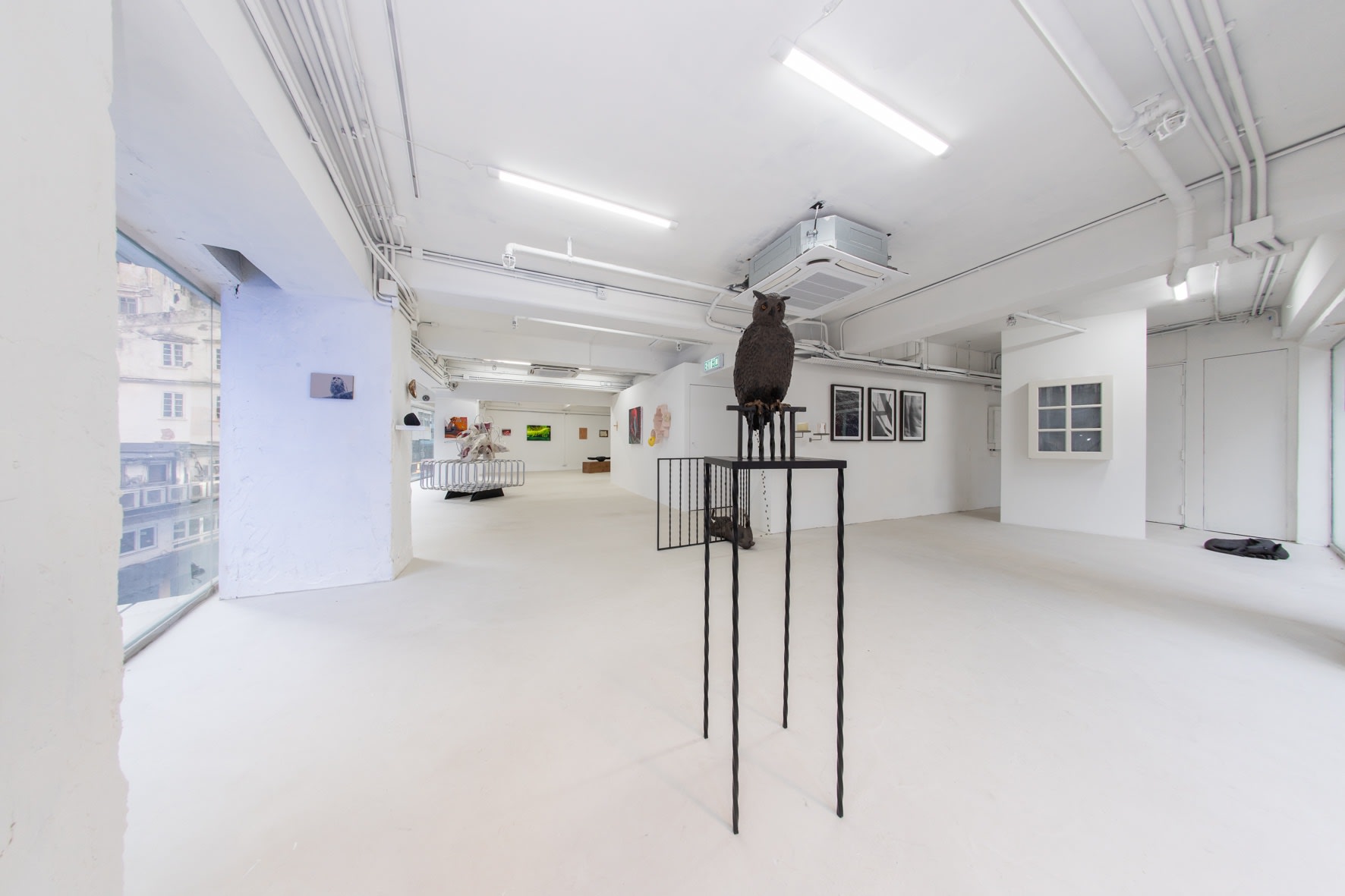 Courtesy of Capsule. Photo by Teddy Leung at FODDDER 图片由胶囊提供，由Teddy Leung（FOODDDER）拍摄