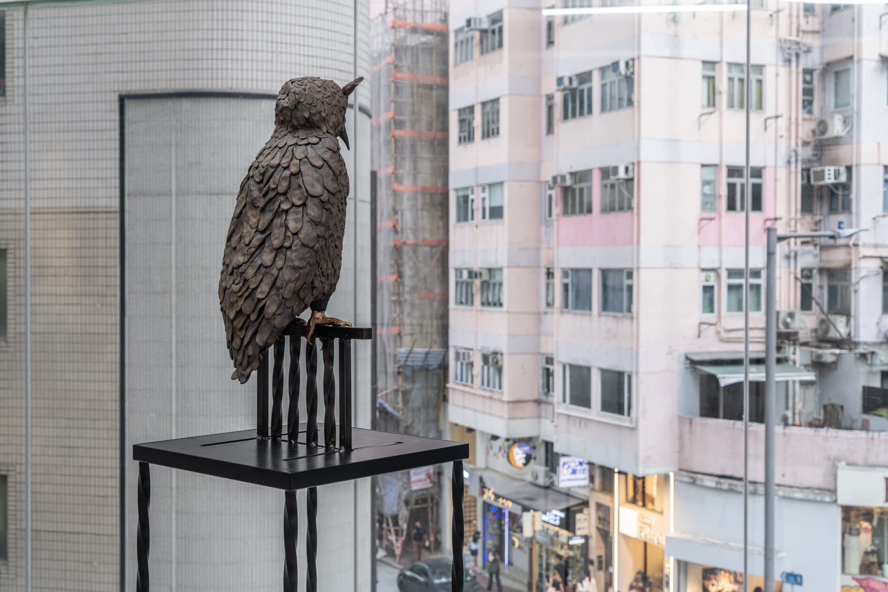 Courtesy of Capsule. Photo by Teddy Leung at FODDDER 图片由胶囊提供，由Teddy Leung（FOODDDER）拍摄