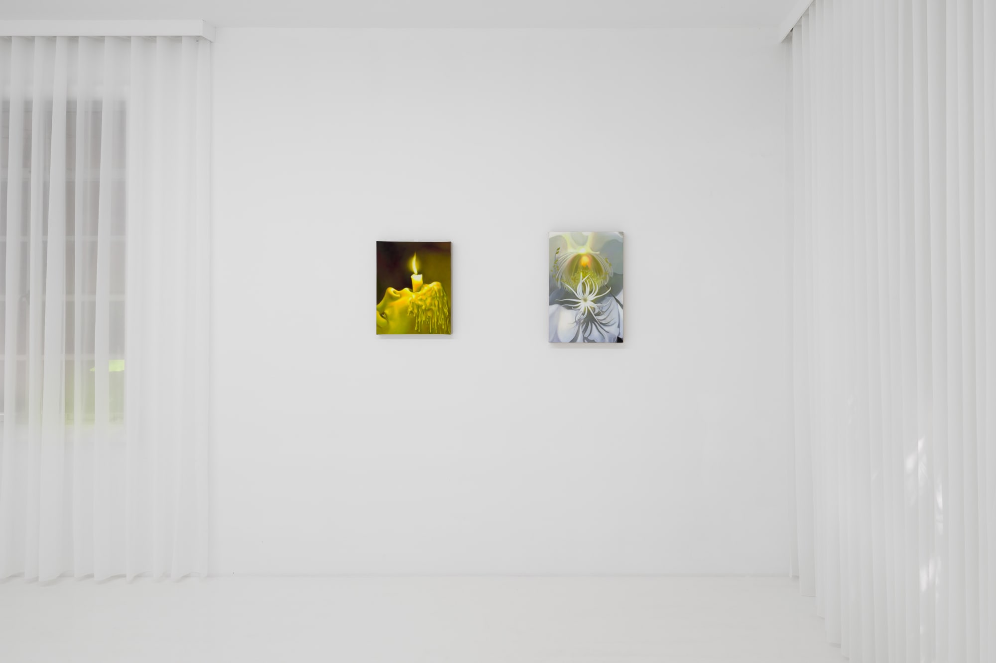 Tao Siqi: The Naked Eye