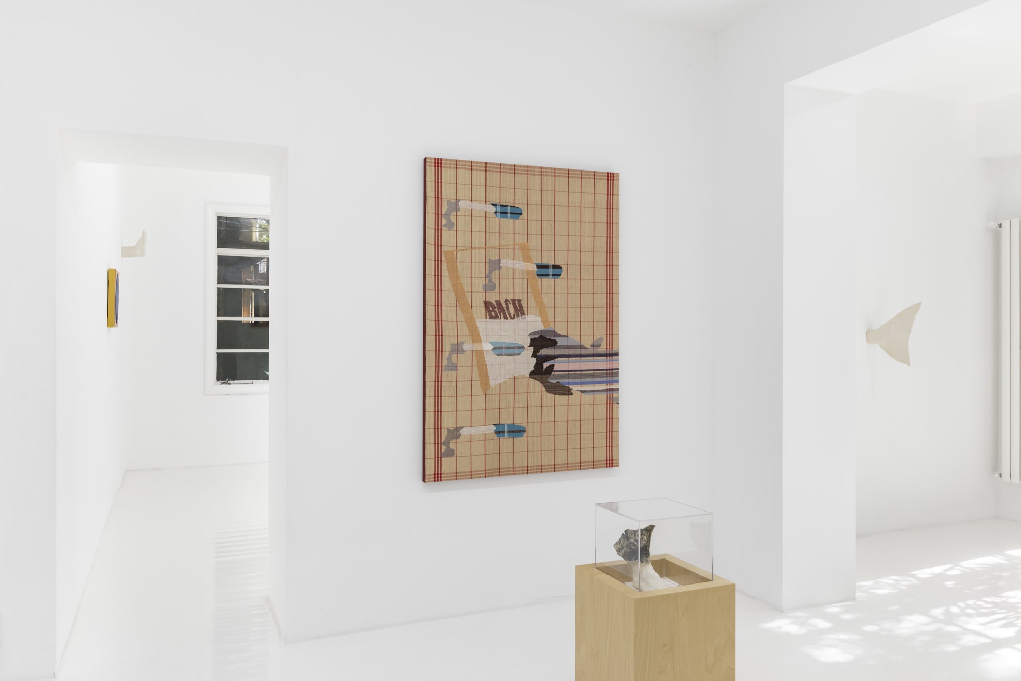 Miranda Fengyuan Zhang: Perpetual Temptation