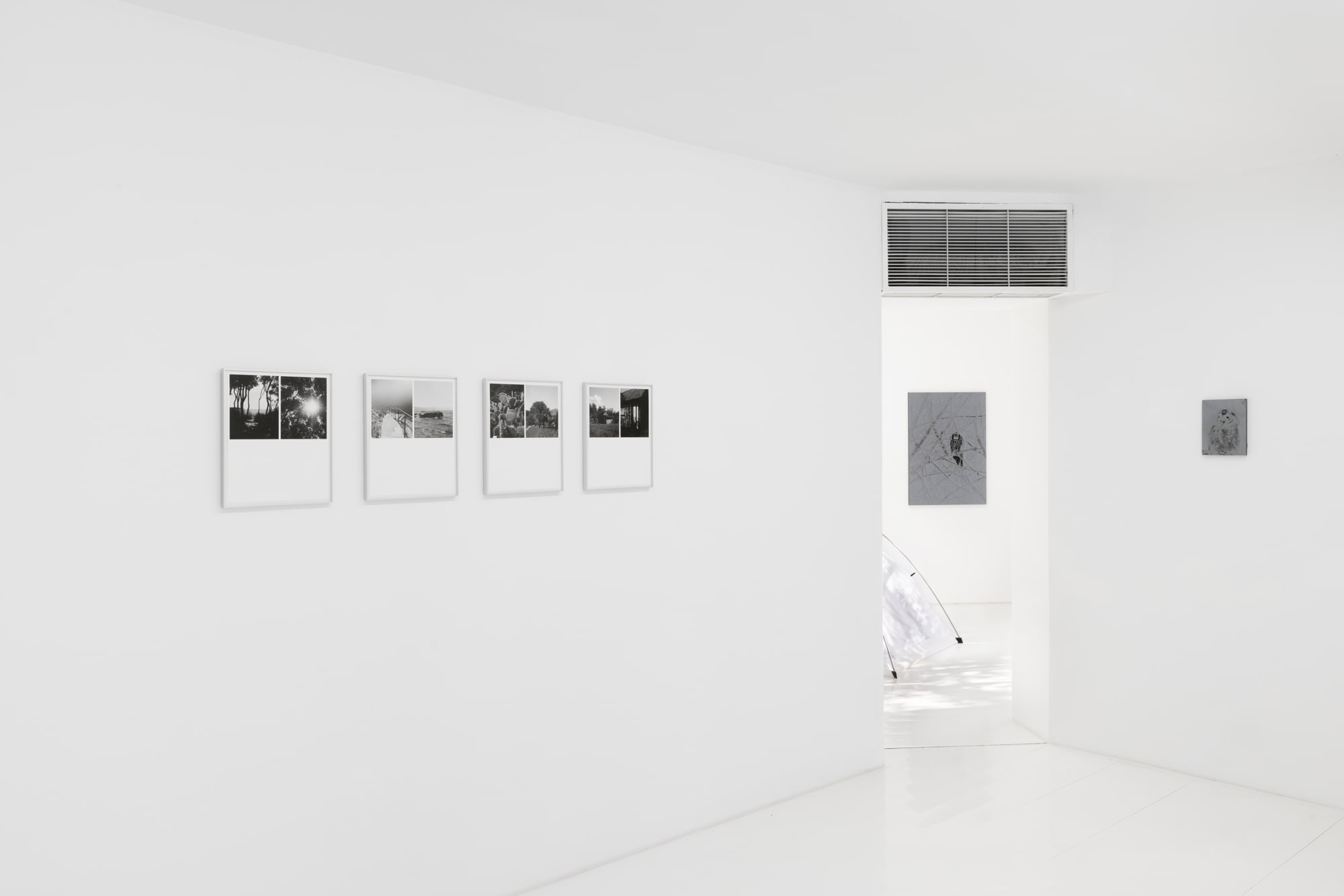 Luca Campestri: Watering the Plants