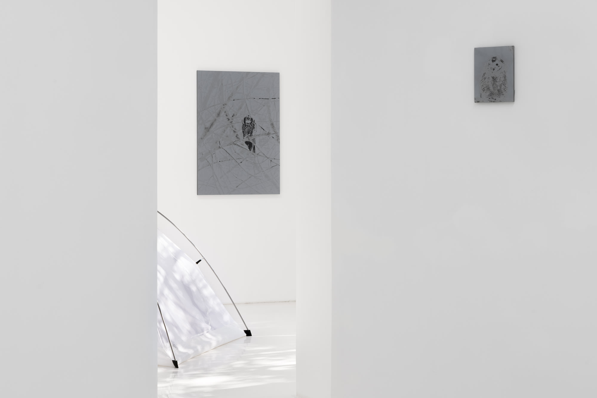 Luca Campestri: Watering the Plants